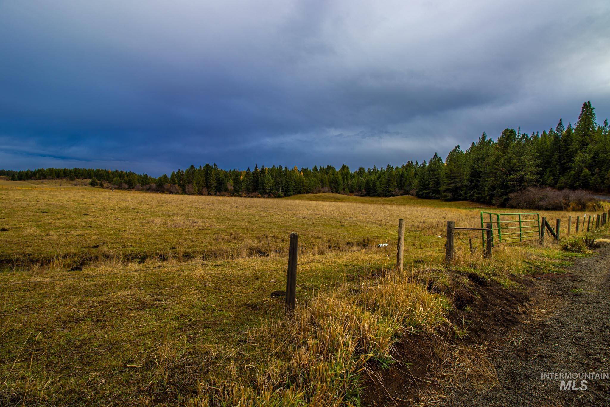 View of yard with a view of countryside and a wooded view