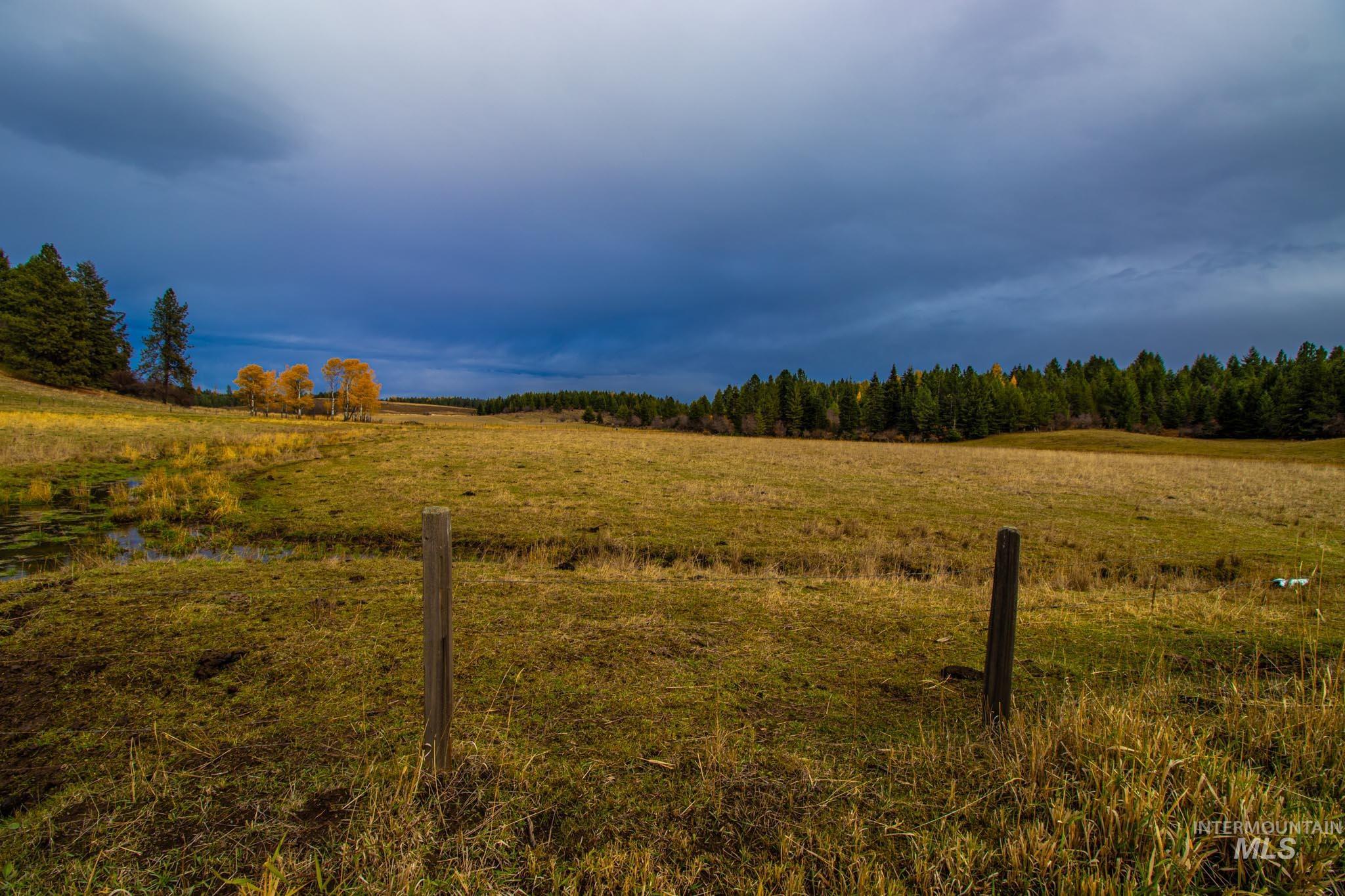 View of local wilderness featuring rural landscape