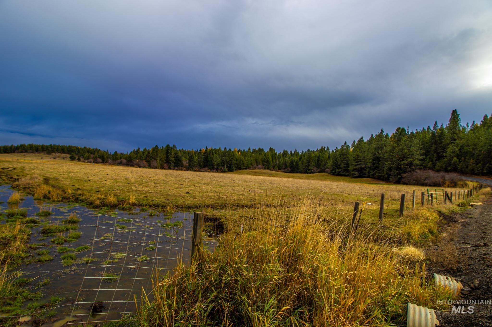 View of yard with a view of rural / pastoral area