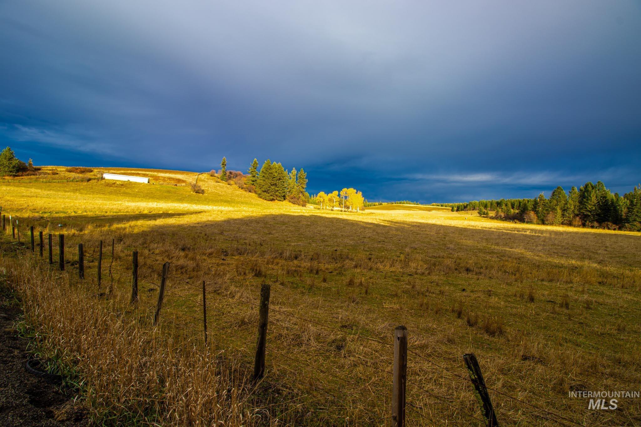 View of yard featuring a rural view