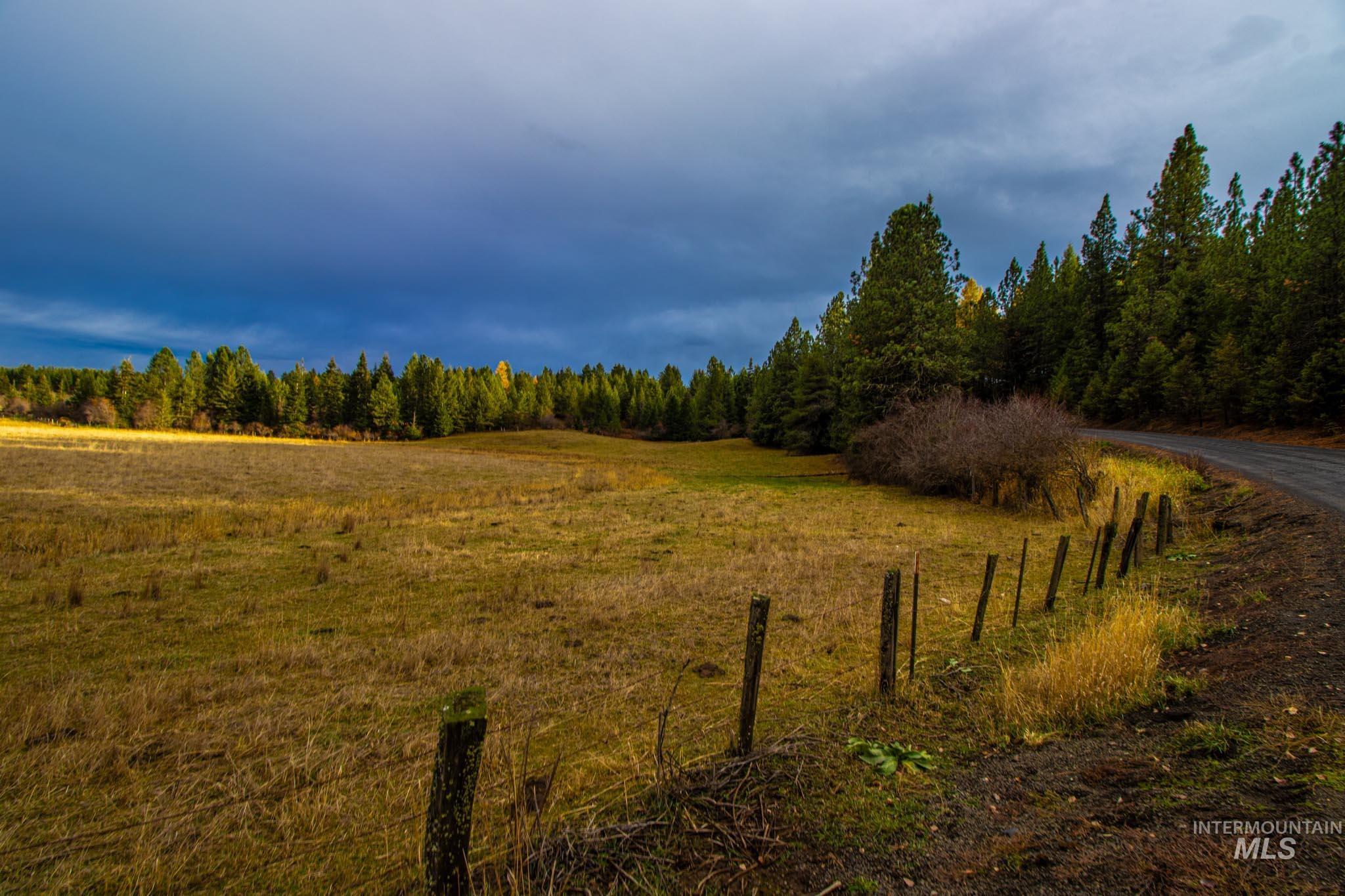 View of tree filled area with a view of countryside