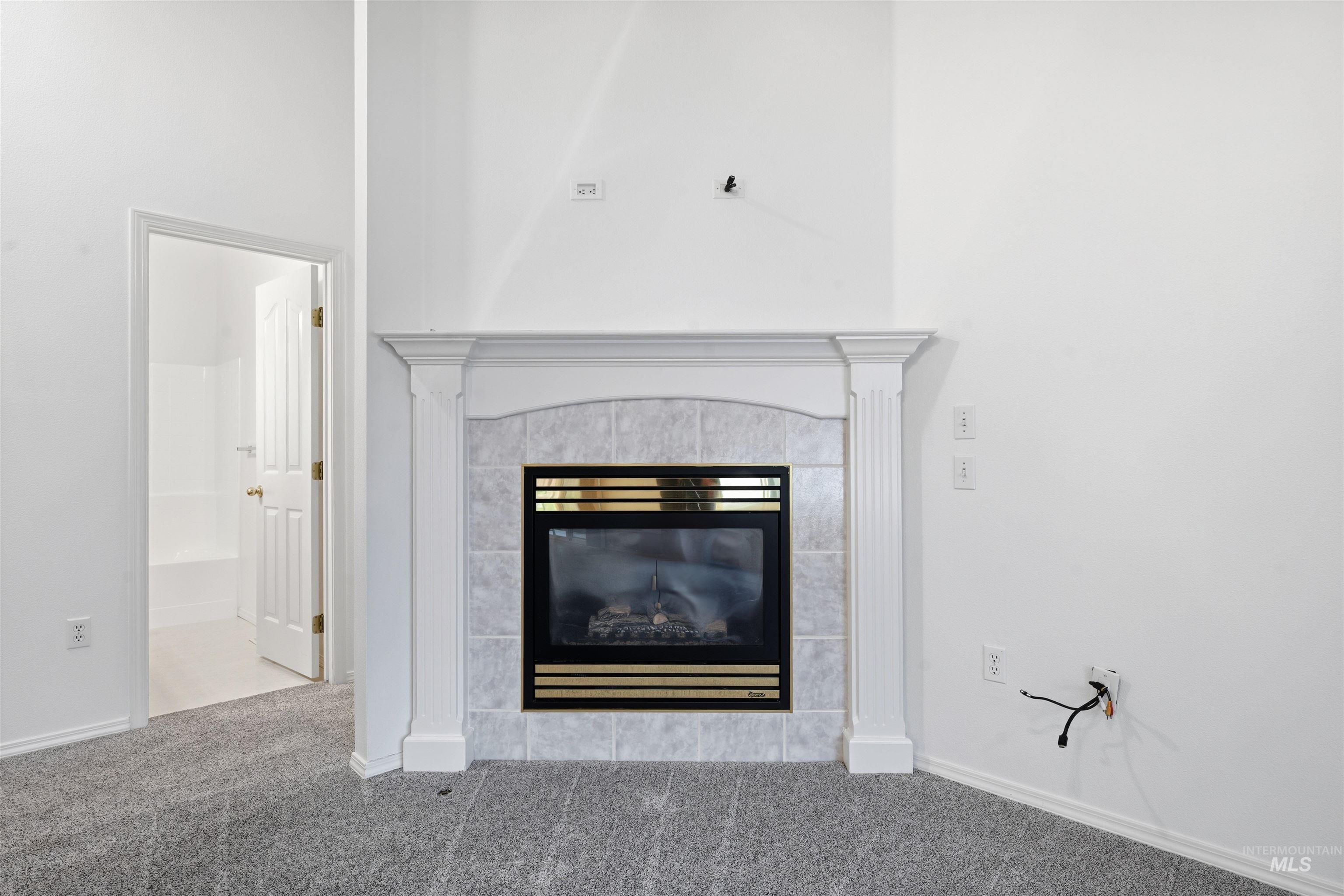 Detailed view of a fireplace and carpet flooring
