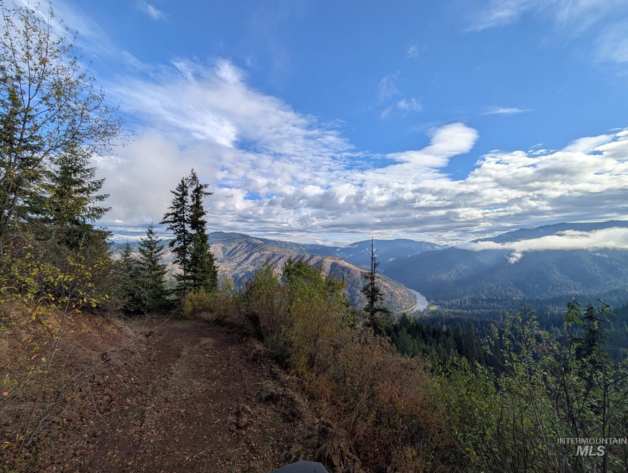 View of mountain background with a forest