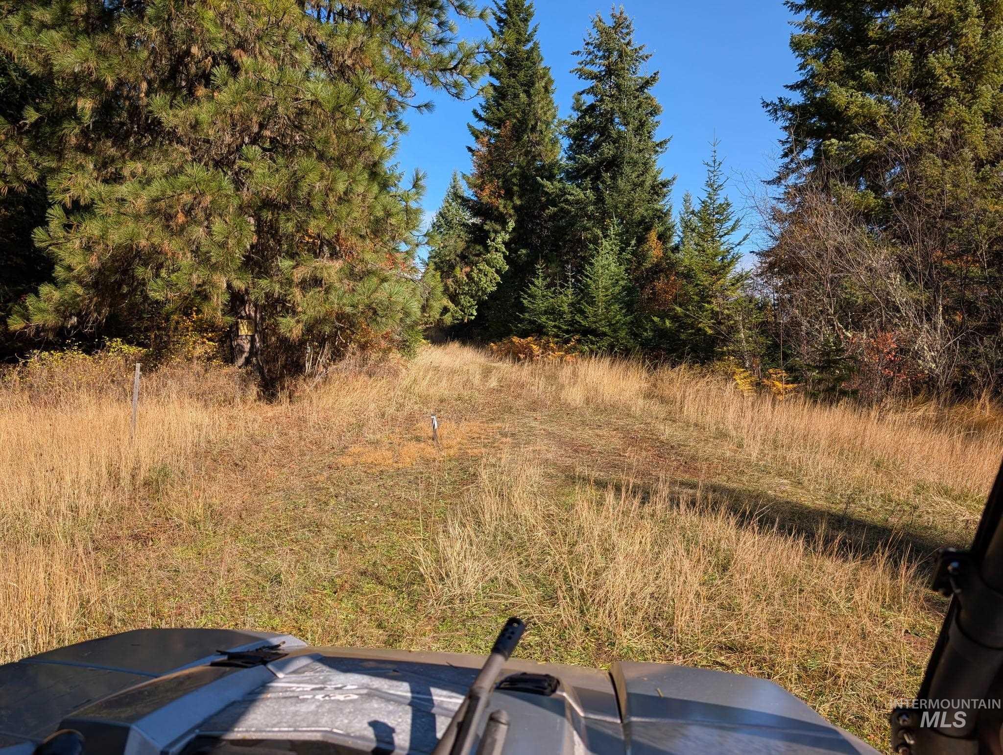 Flat area on upper property!