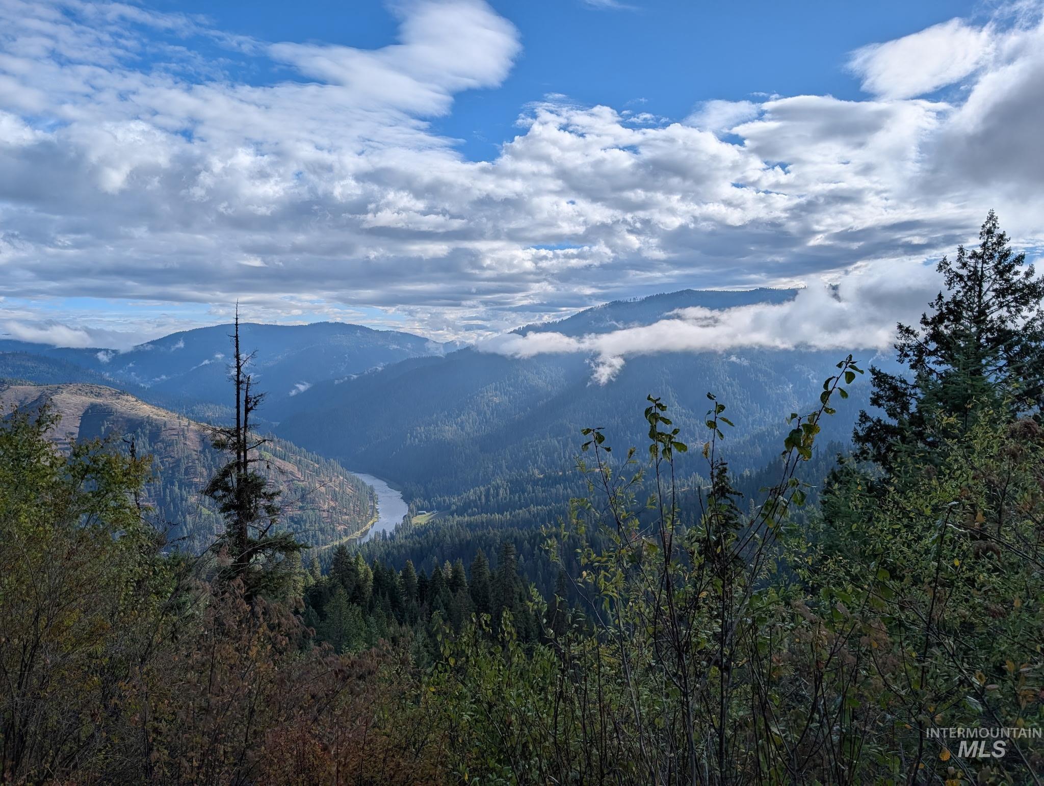 Mountain view featuring a forest & Clearwater River