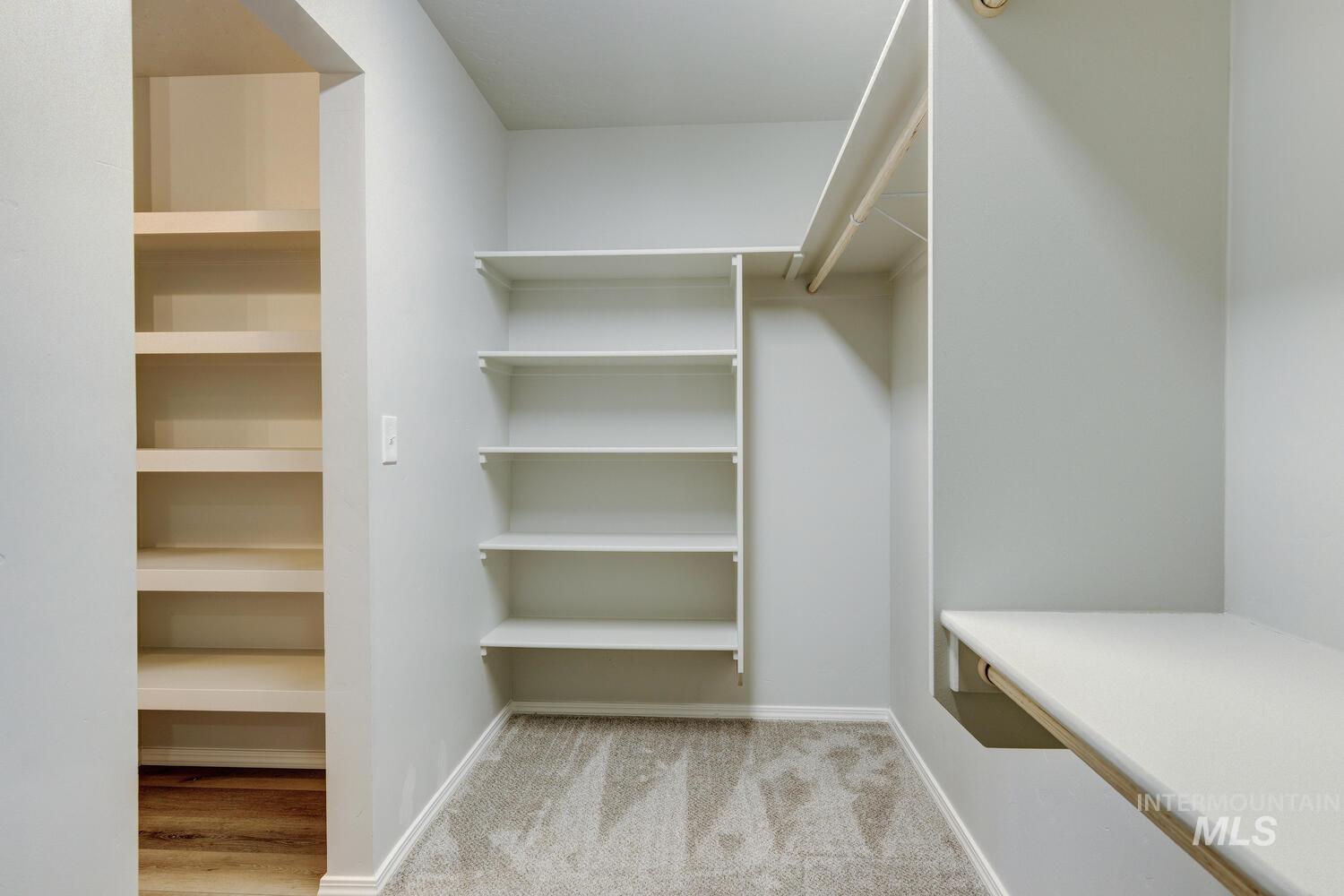 Spacious closet featuring light carpet