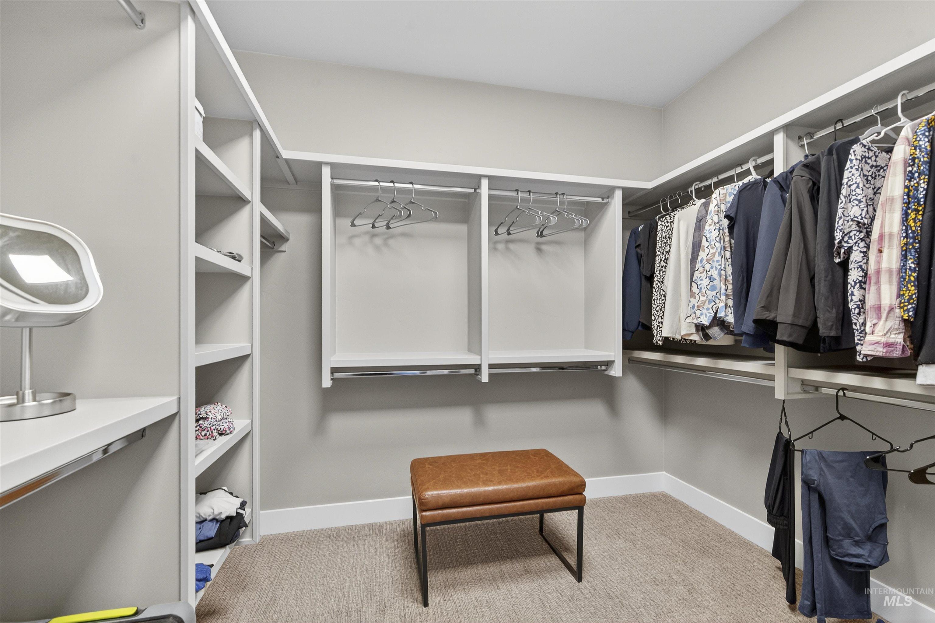 Spacious closet featuring light carpet