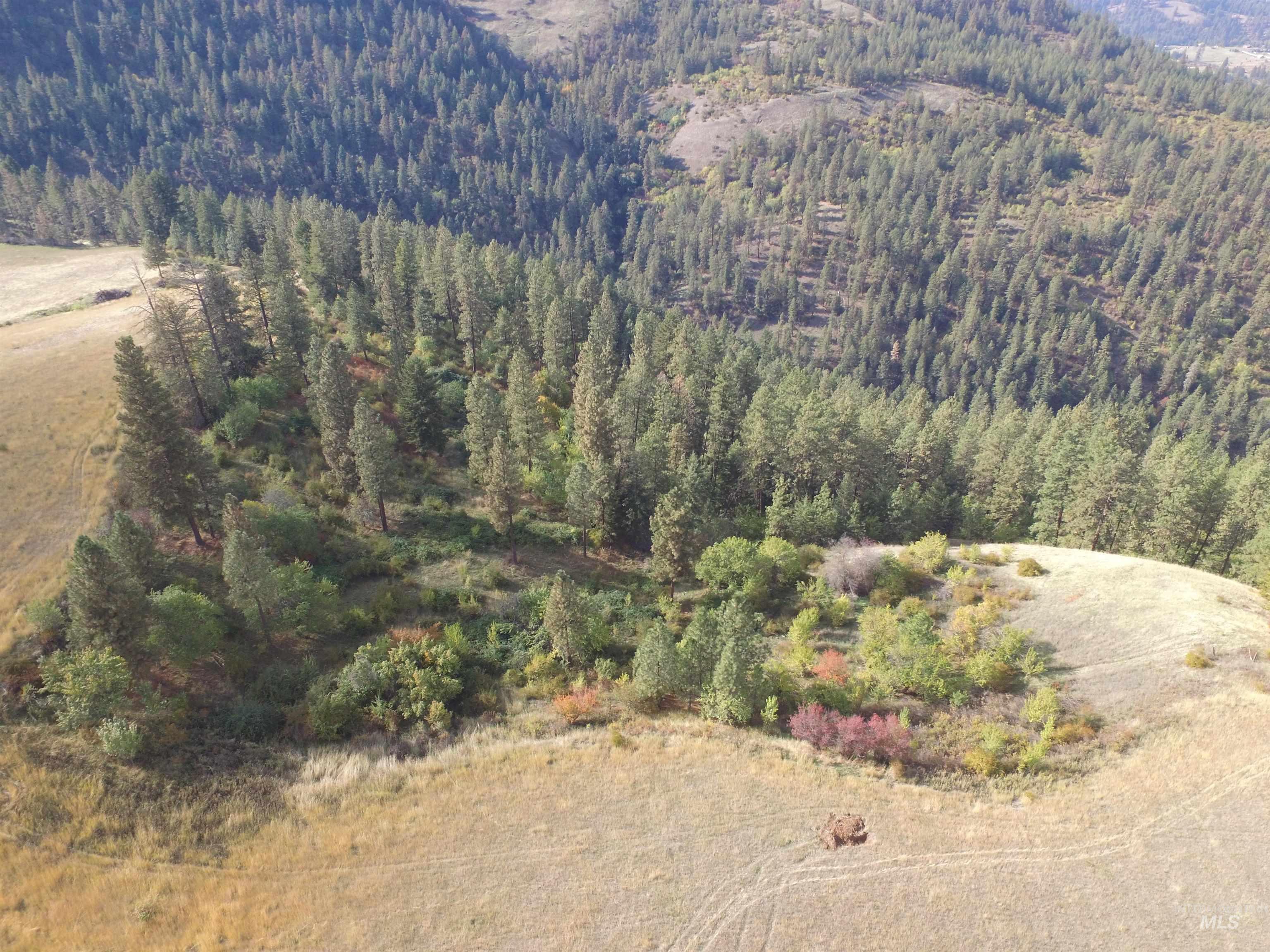 TBD Summit Lot B, Lenore, Idaho 83541, Land For Sale, Price $134,000, 98966761