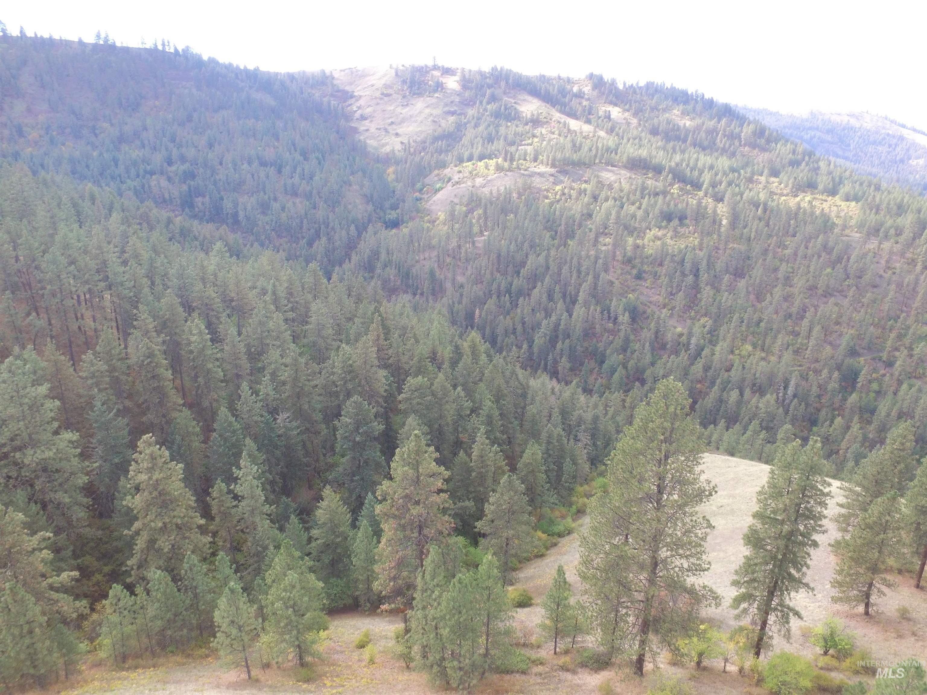 TBD Summit Lot B, Lenore, Idaho 83541, Land For Sale, Price $134,000, 98966761