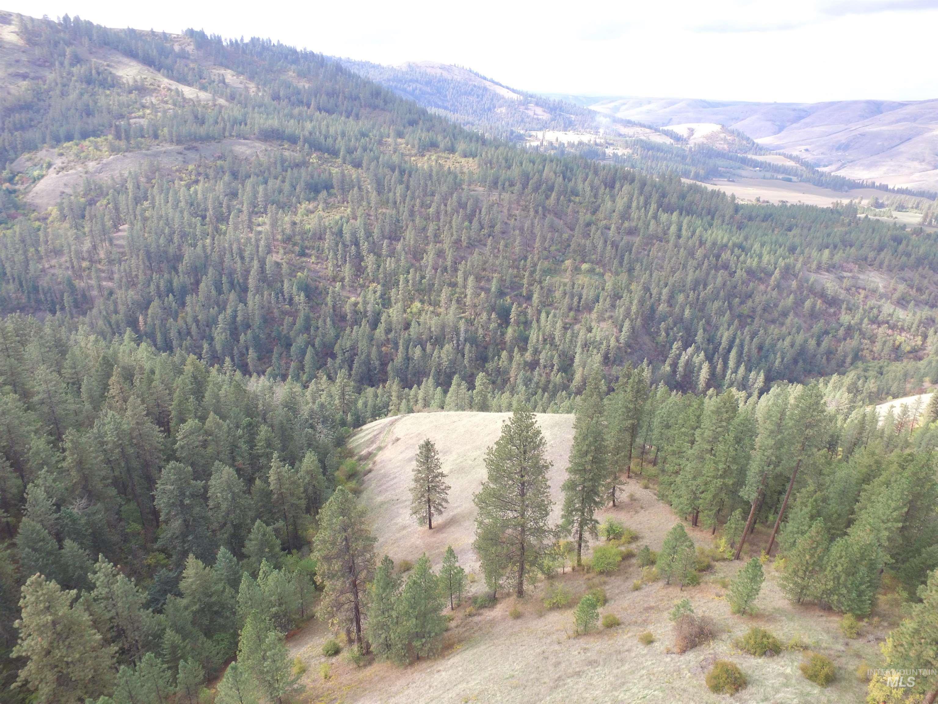 TBD Summit Lot B, Lenore, Idaho 83541, Land For Sale, Price $134,000, 98966761