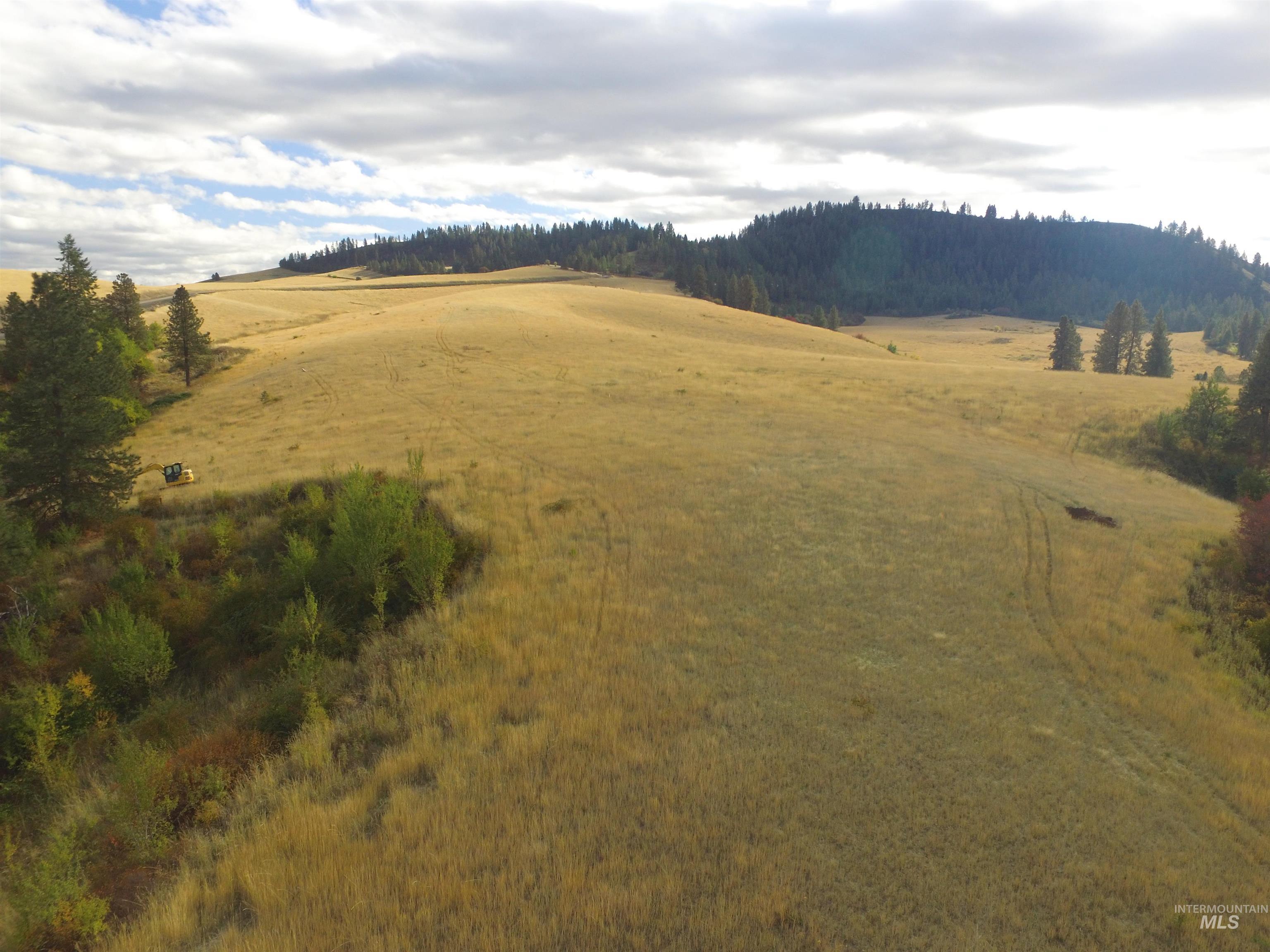 TBD Summit Lot A, Lenore, Idaho 83541, Land For Sale, Price $139,000, 98966767