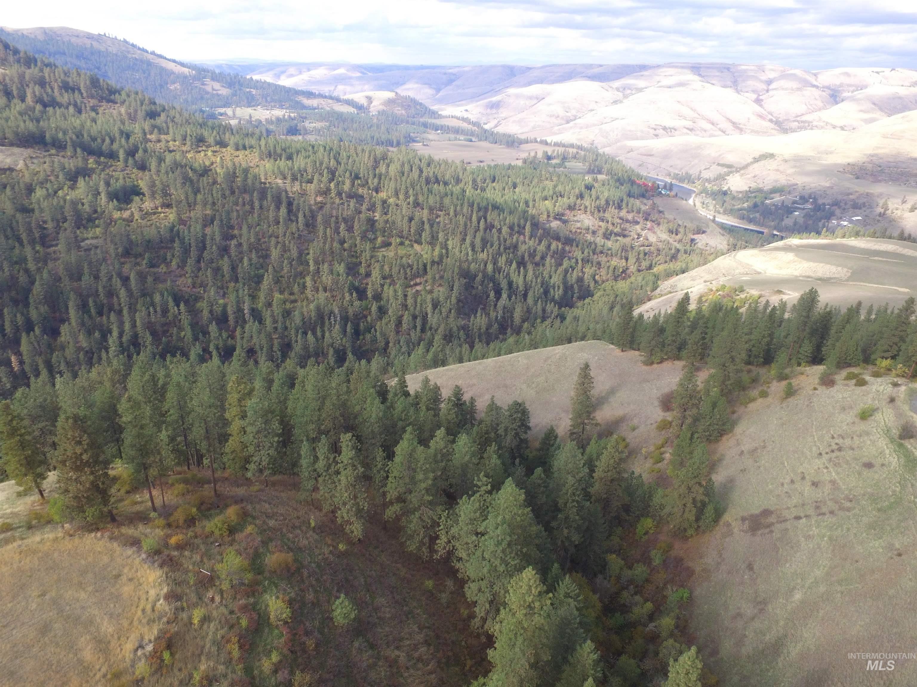 TBD Summit Lot A, Lenore, Idaho 83541, Land For Sale, Price $139,000, 98966767