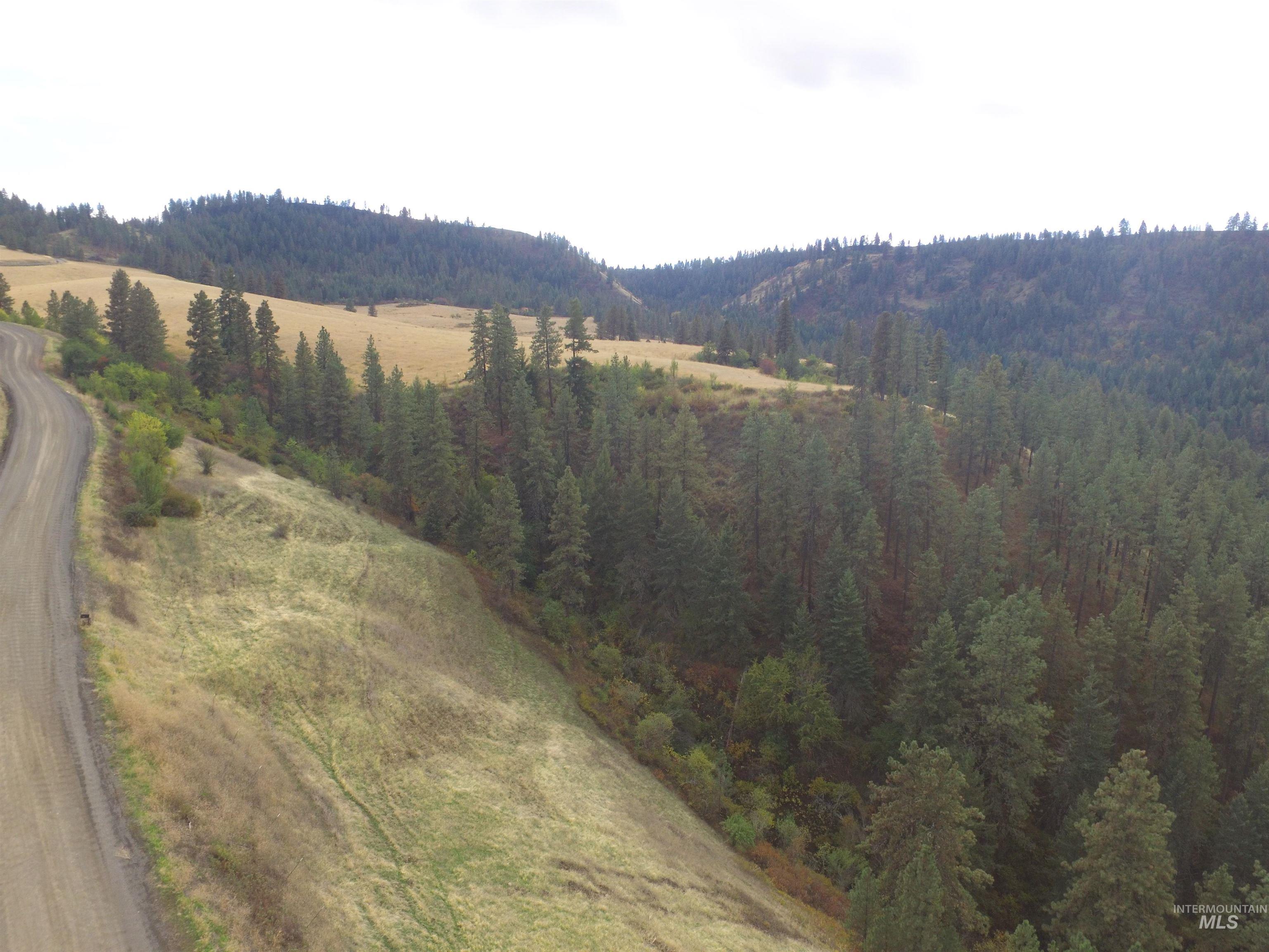 TBD Summit Lot A, Lenore, Idaho 83541, Land For Sale, Price $139,000, 98966767