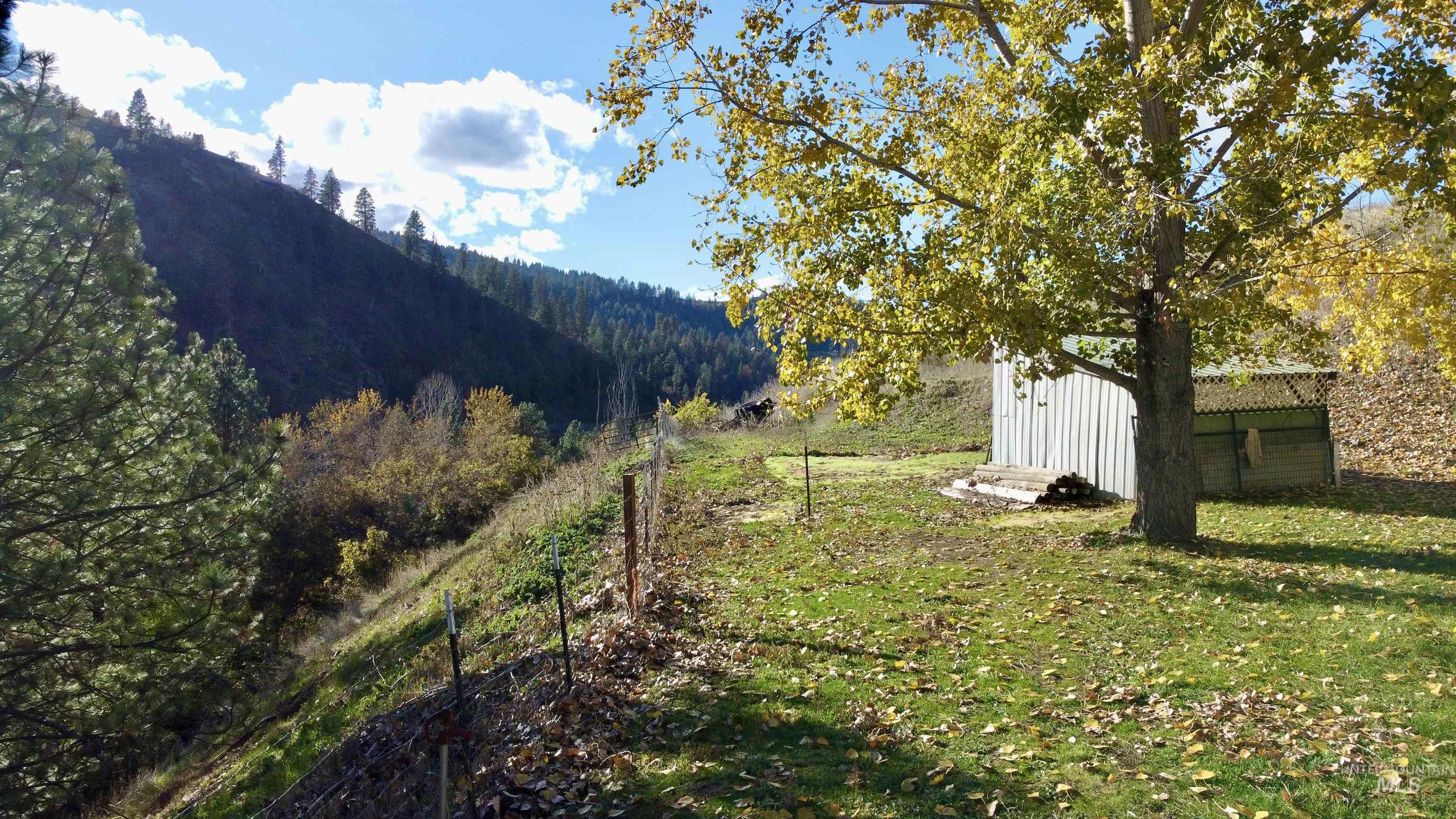 View of grassy yard with a wooded view and an outbuilding