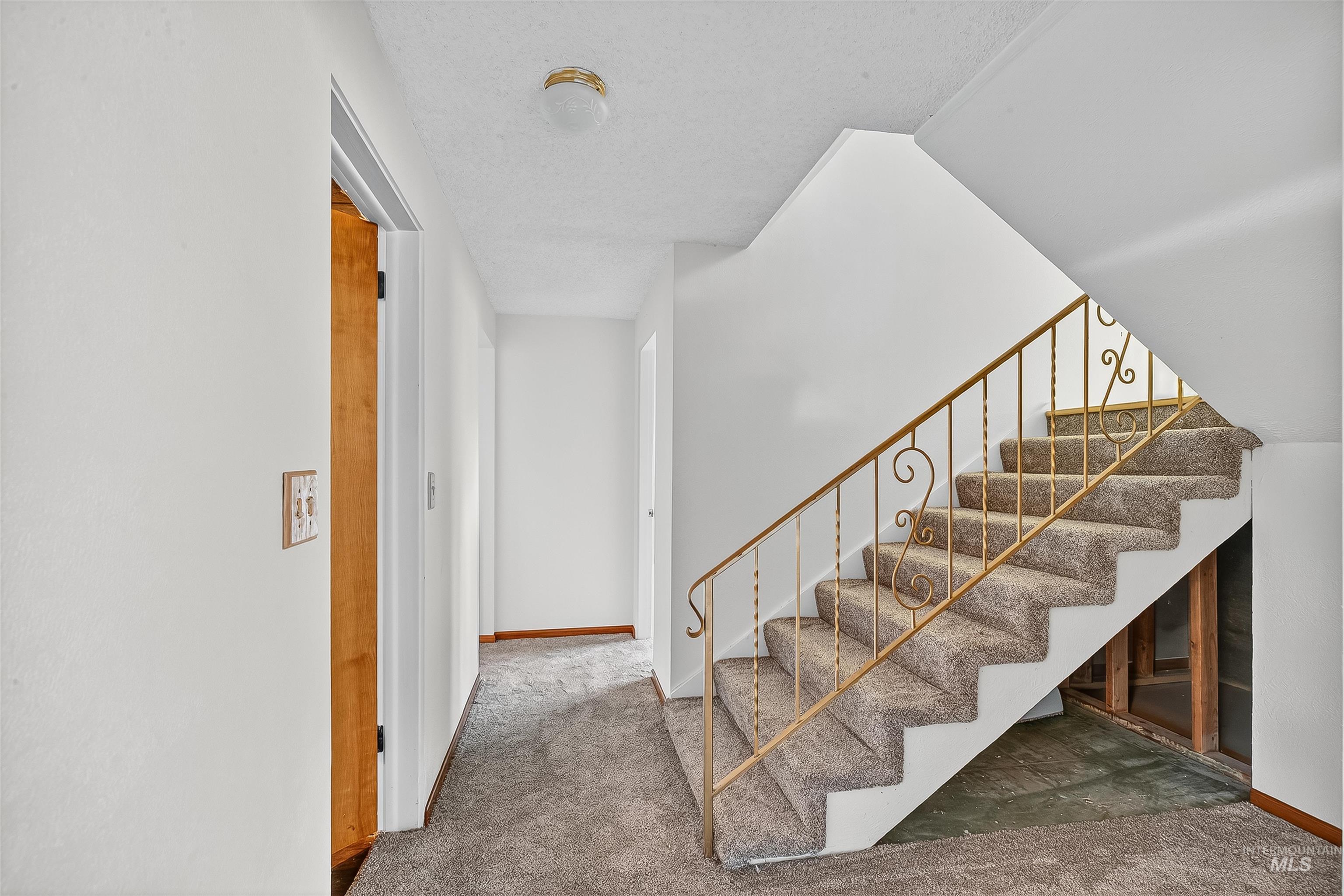 Stairway with carpet and baseboards