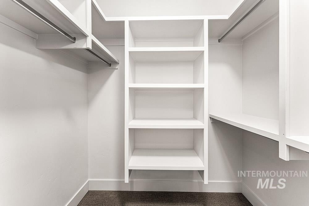 Walk in closet featuring carpet