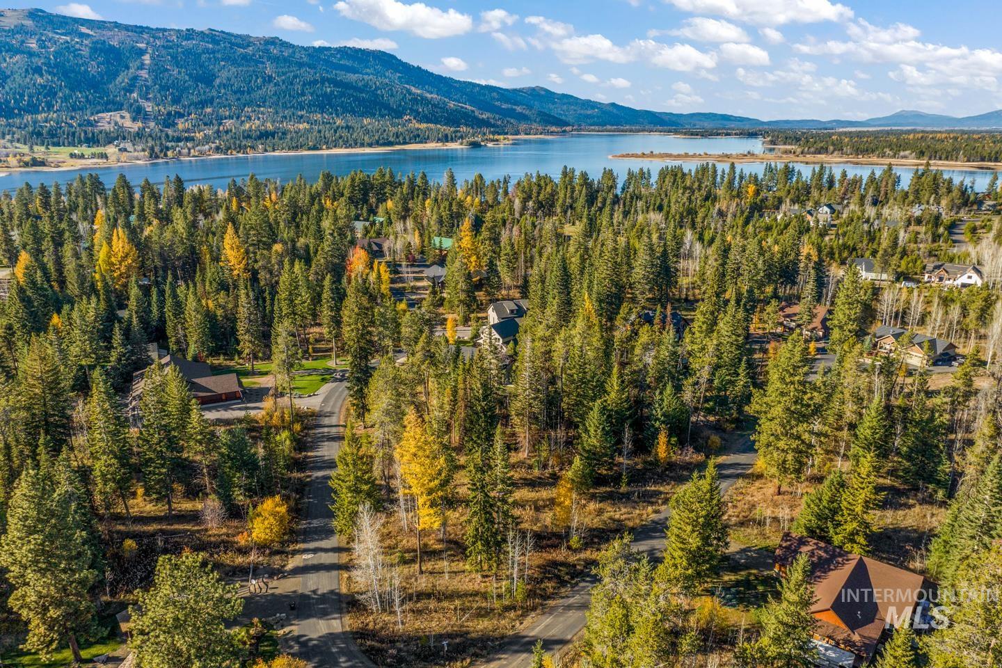 Aerial view of a water and mountain view and a forest