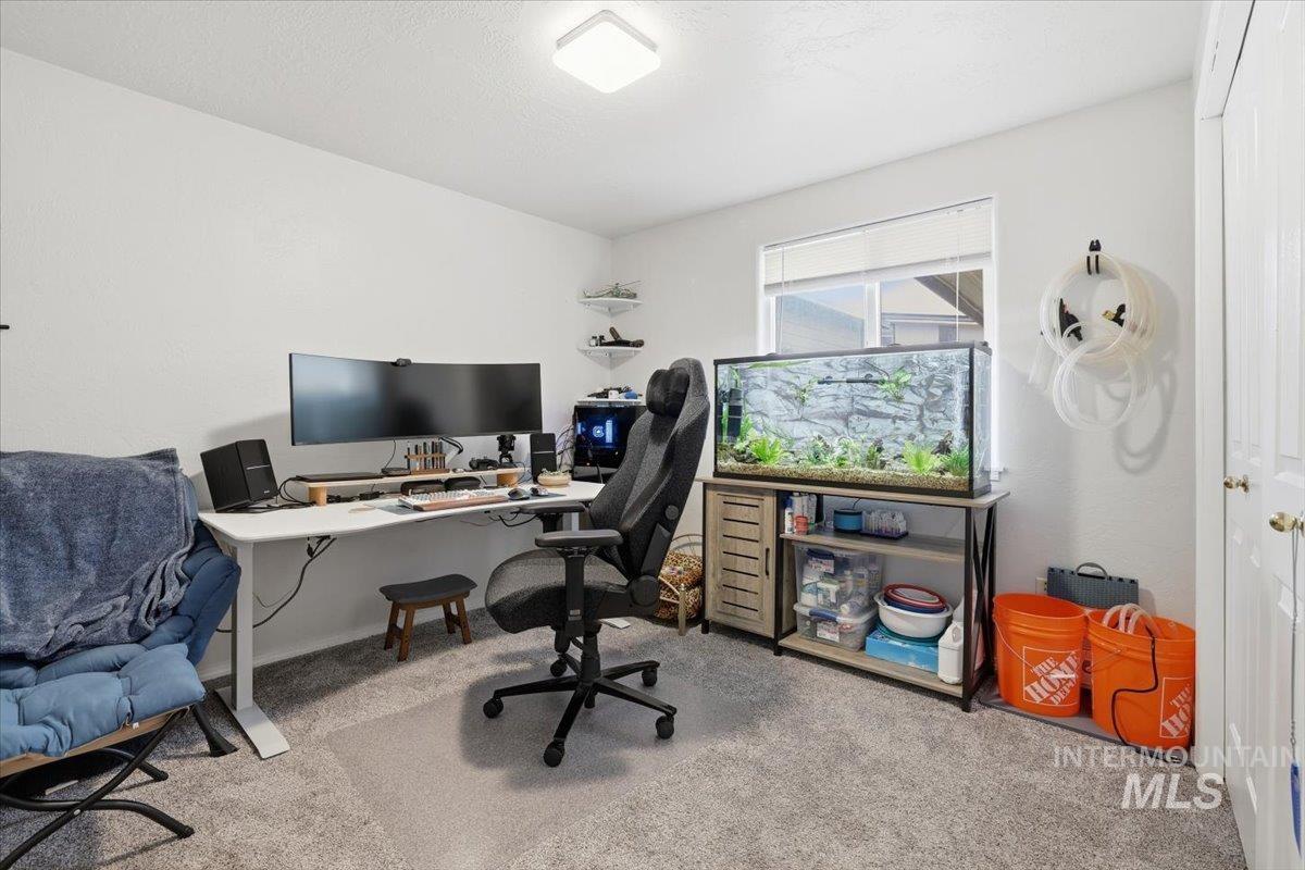 Office space with light carpet
