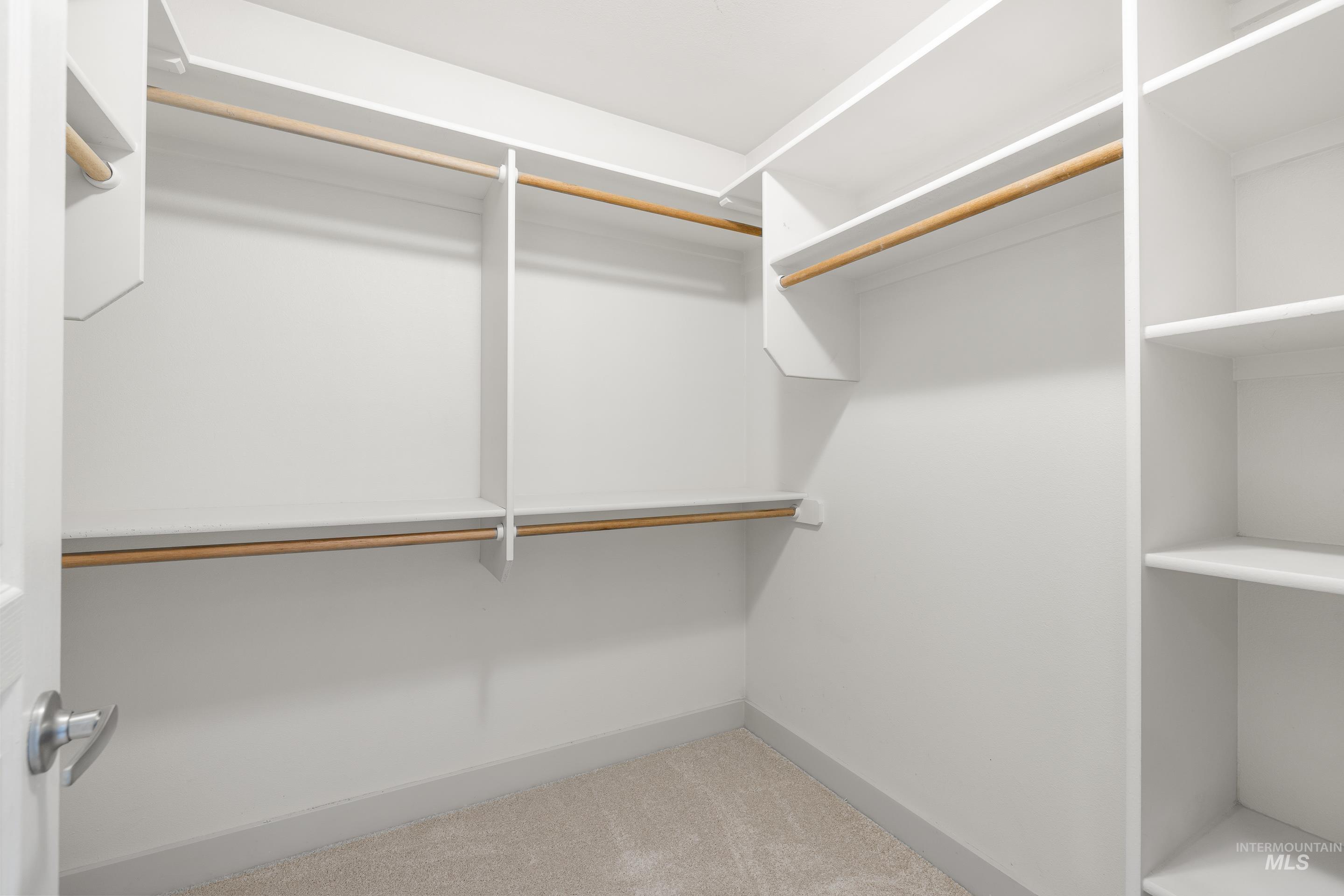 Walk in closet featuring light colored carpet