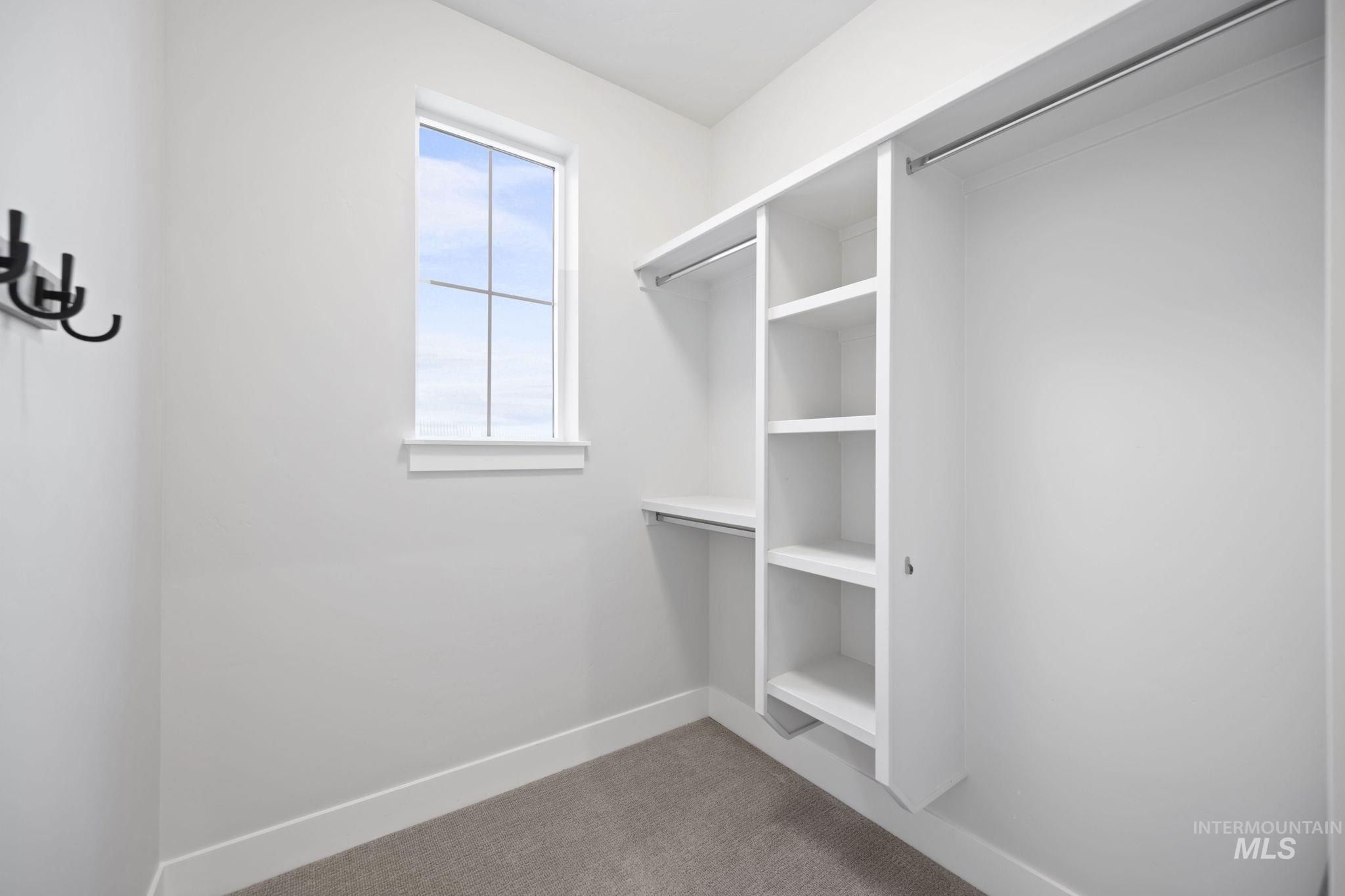 Spacious closet with light carpet