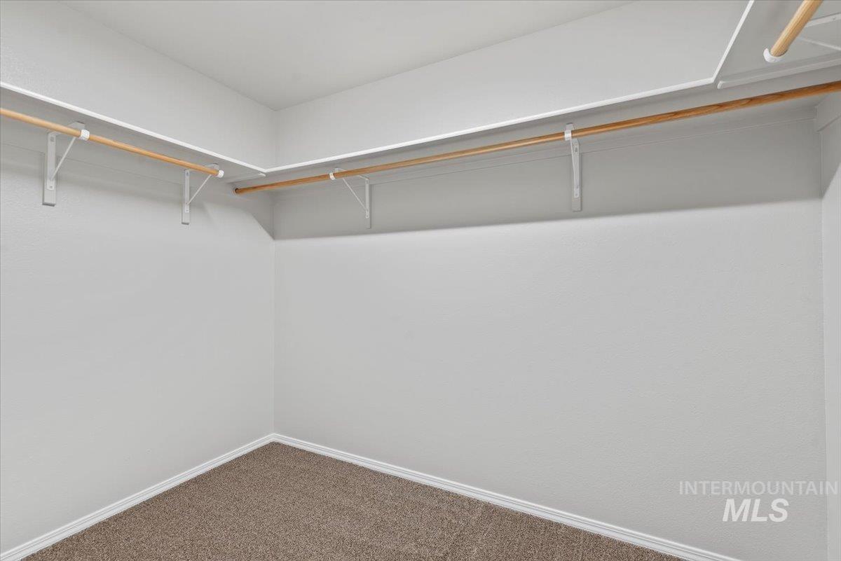 Walk in closet with carpet