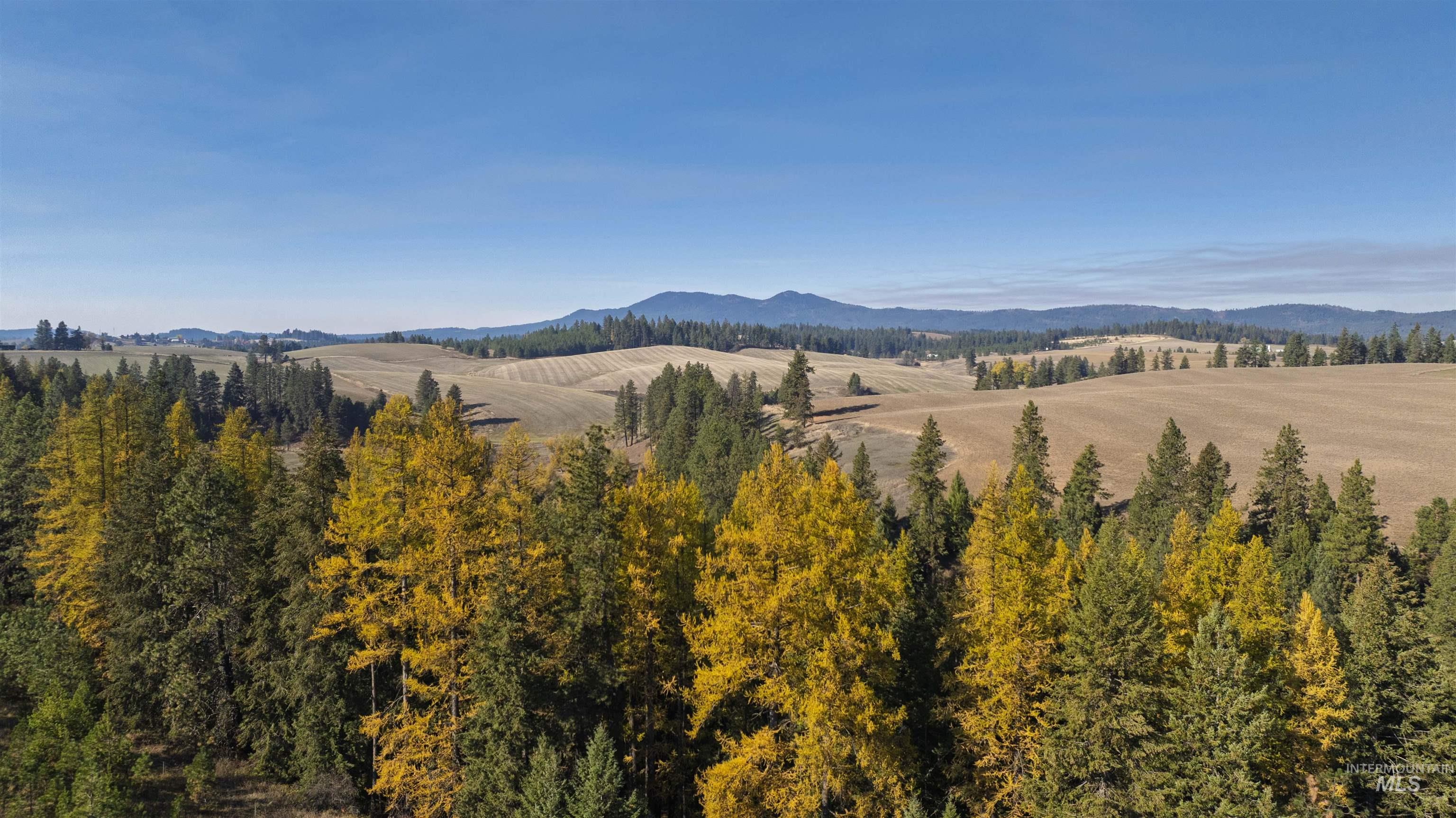 1170 Burnt Ridge Rd., Troy, Idaho 83871, 4 Bedrooms, 1.5 Bathrooms, Residential For Sale, Price $1,300,000, 98966820