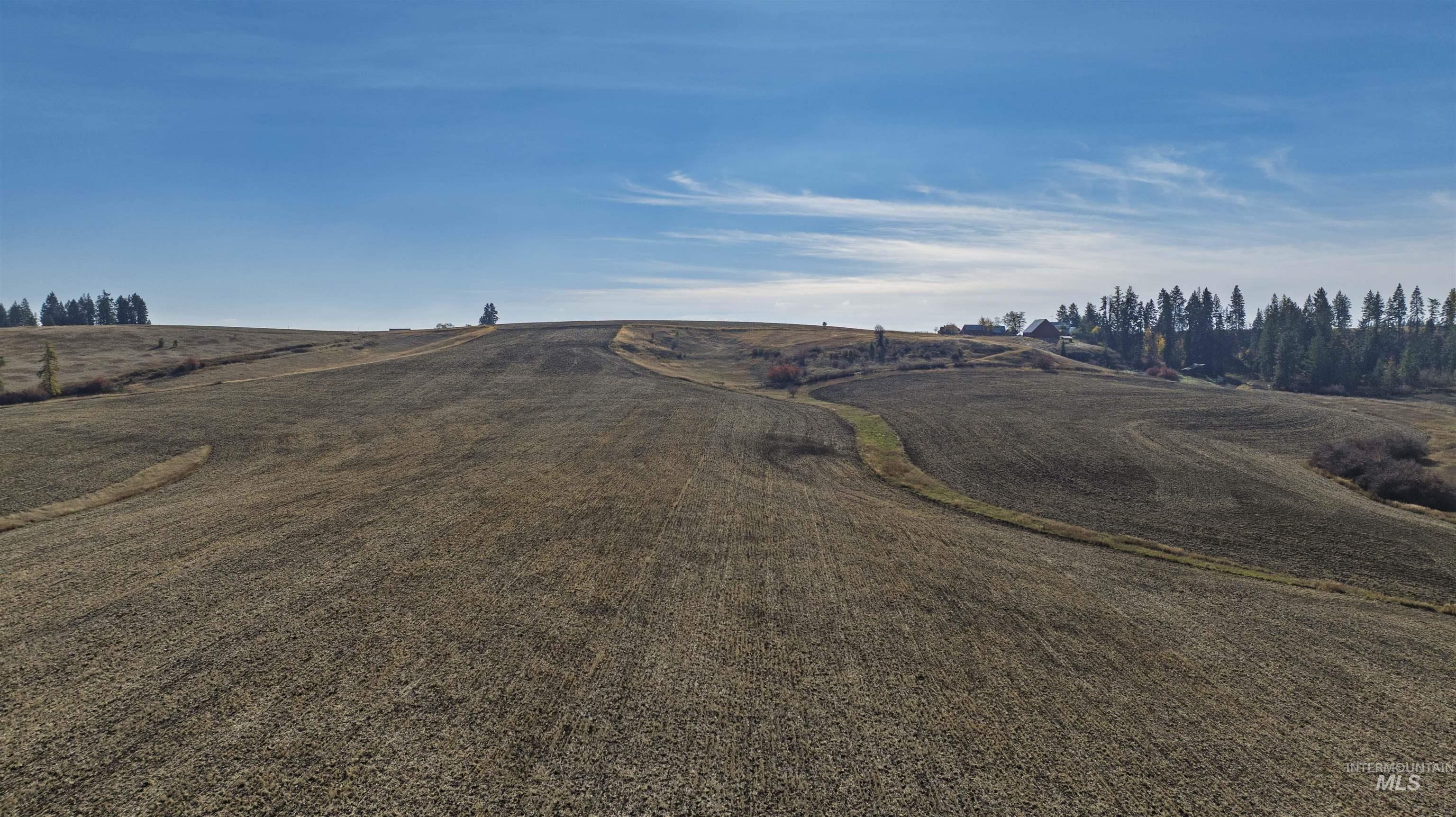 1170 Burnt Ridge Rd., Troy, Idaho 83871, 4 Bedrooms, 1.5 Bathrooms, Residential For Sale, Price $1,300,000, 98966820