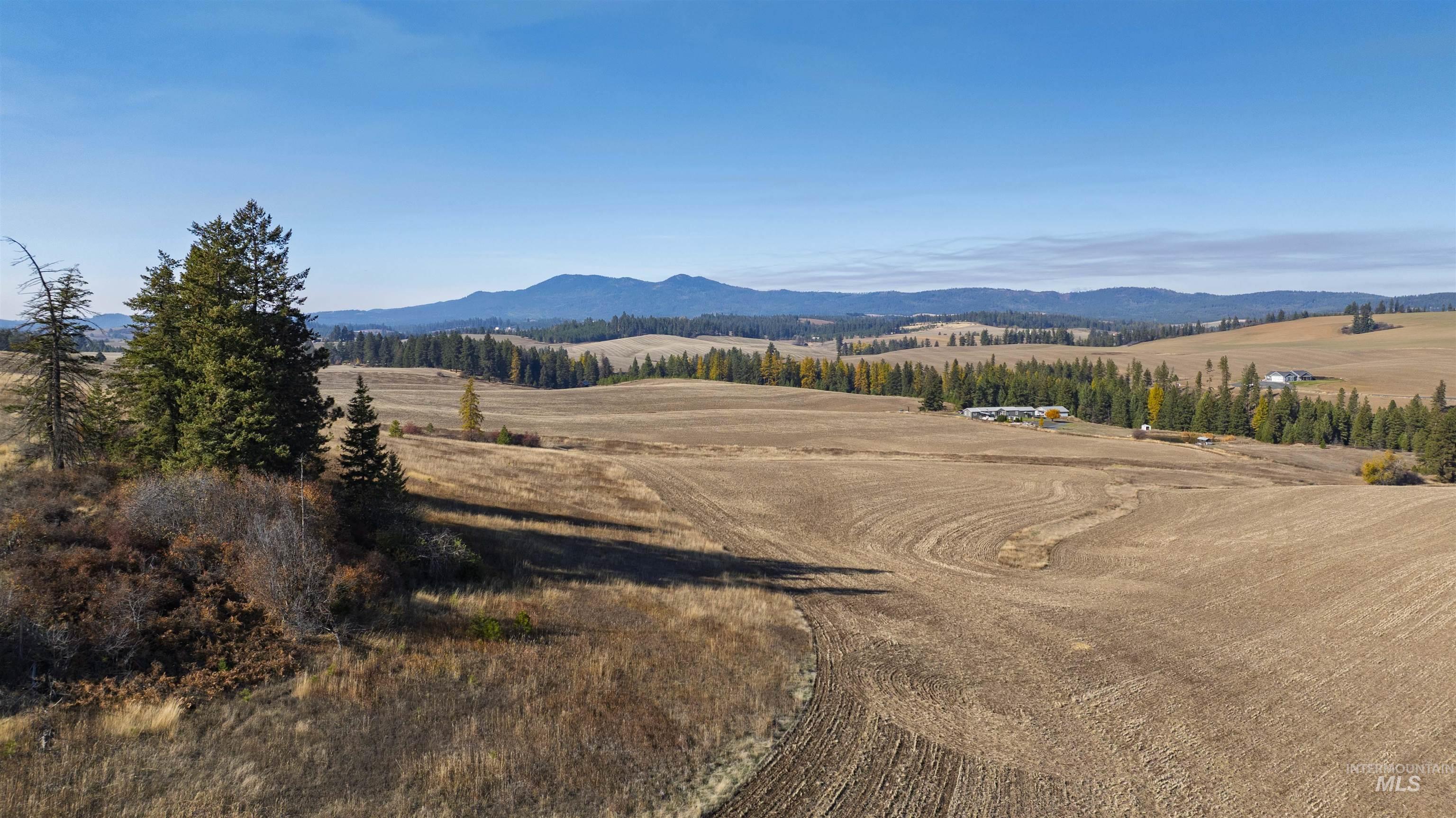 1170 Burnt Ridge Rd., Troy, Idaho 83871, 4 Bedrooms, 1.5 Bathrooms, Residential For Sale, Price $1,300,000, 98966820