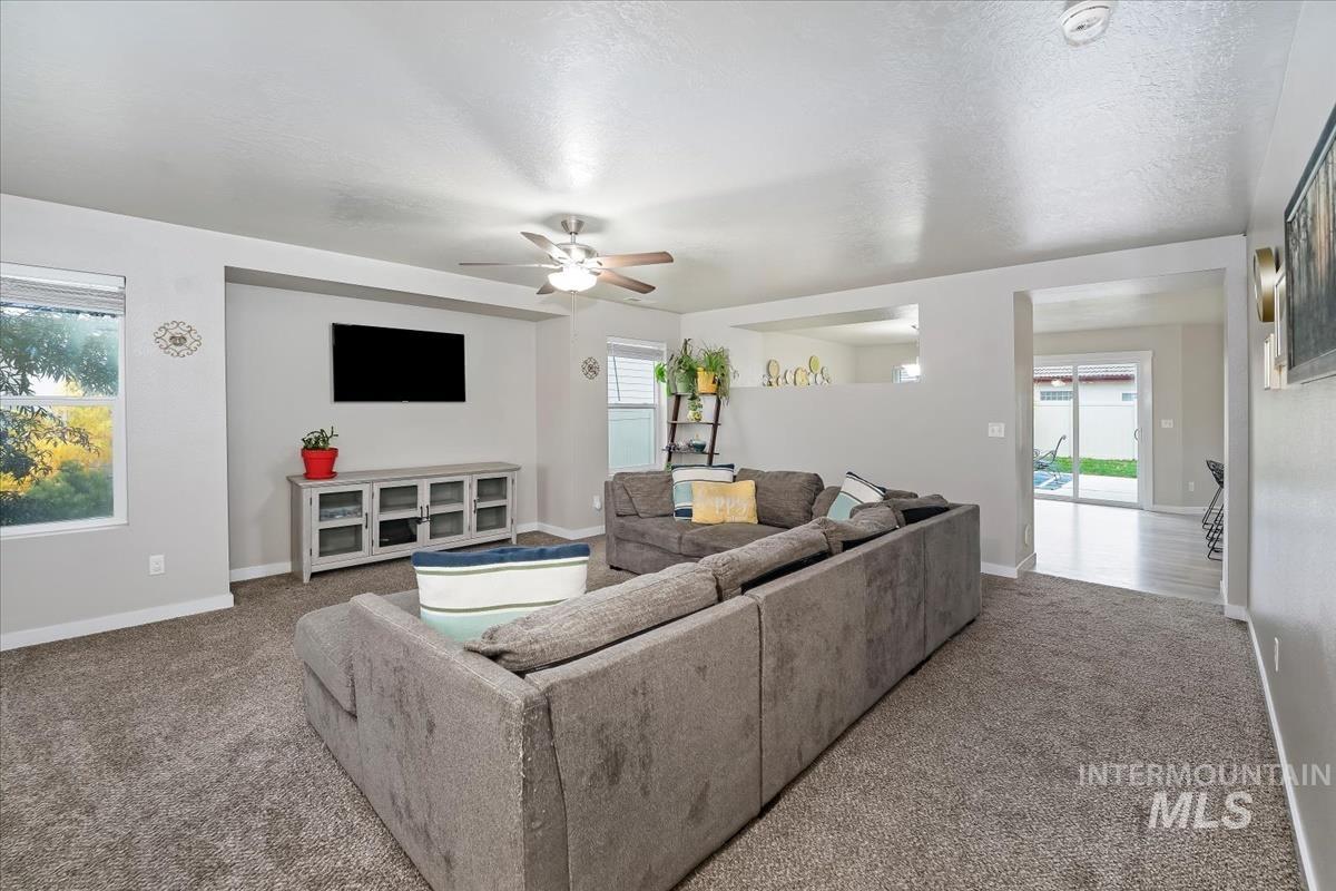 Living room featuring carpet flooring, a textured ceiling, and a ceiling fan