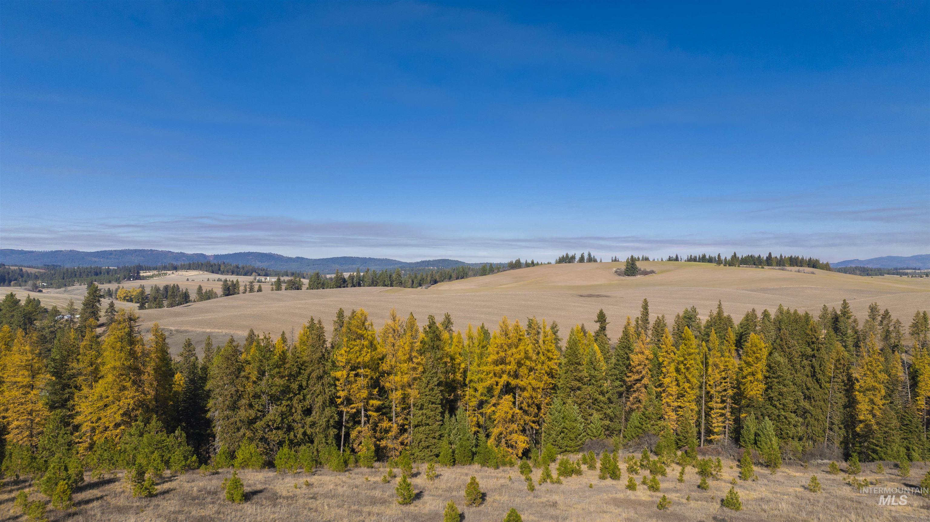 1170 Burnt Ridge Rd., Troy, Idaho 83871, 4 Bedrooms, 1.5 Bathrooms, Farm & Ranch For Sale, Price $1,300,000, 98966830