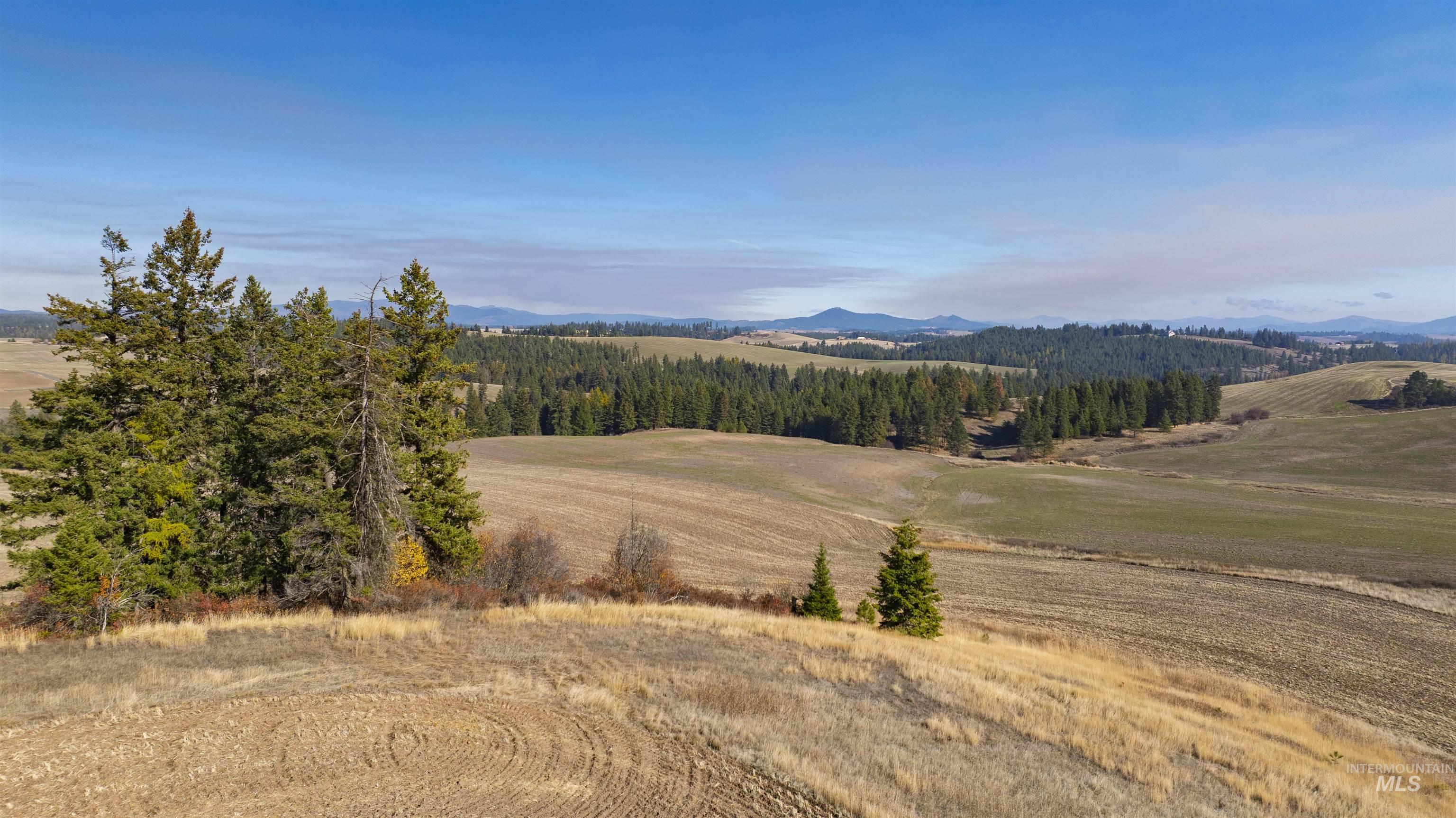 1170 Burnt Ridge Rd., Troy, Idaho 83871, 4 Bedrooms, 1.5 Bathrooms, Farm & Ranch For Sale, Price $1,300,000, 98966830