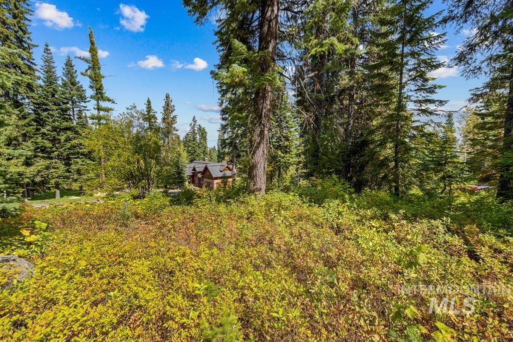 77 Tripod Court, Donnelly, Idaho 83615, Land For Sale, Price $550,000, 98966833