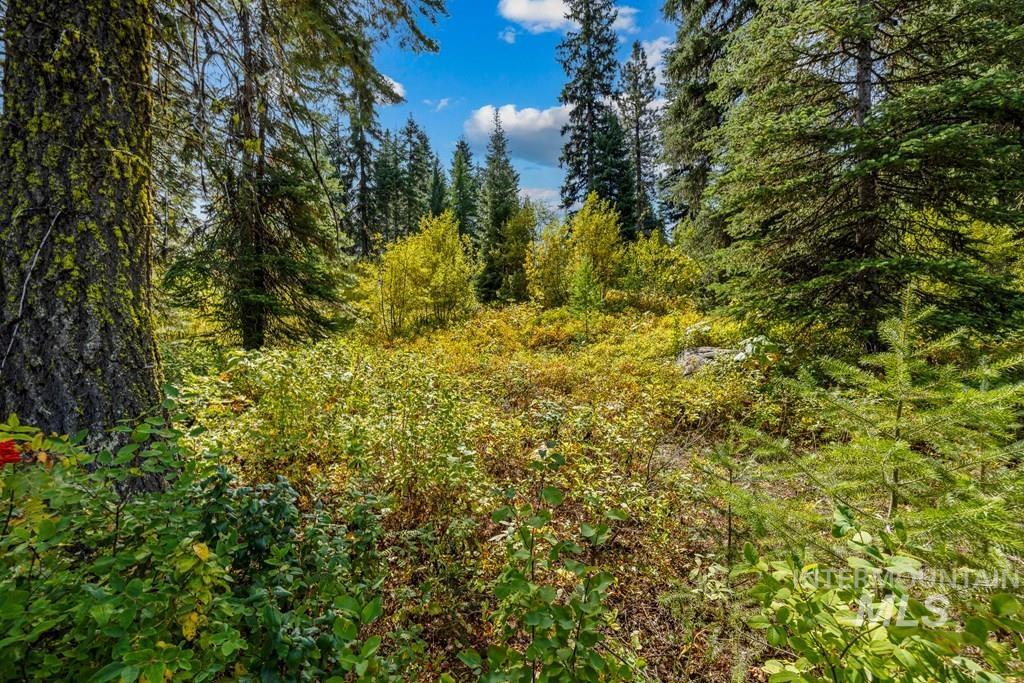 77 Tripod Court, Donnelly, Idaho 83615, Land For Sale, Price $550,000, 98966833