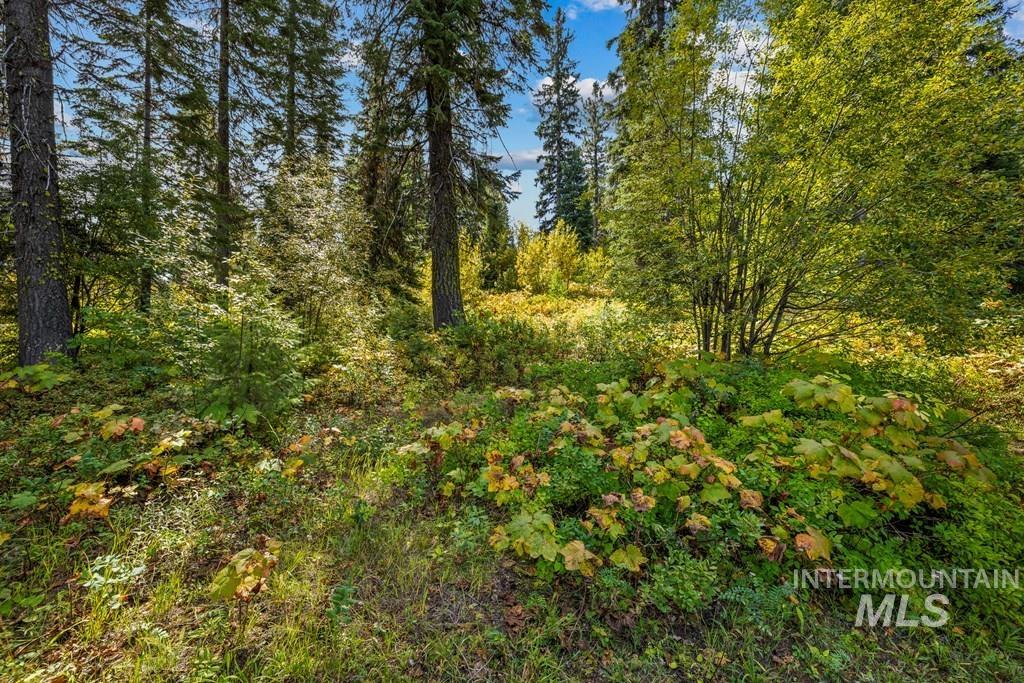 77 Tripod Court, Donnelly, Idaho 83615, Land For Sale, Price $550,000, 98966833