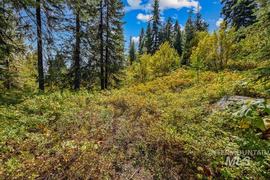 77 Tripod Court, Donnelly, Idaho 83615, Land For Sale, Price $550,000, 98966833