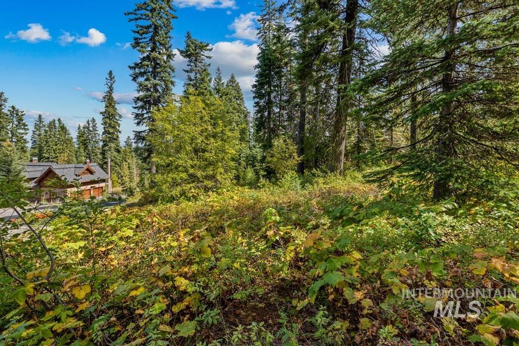 77 Tripod Court, Donnelly, Idaho 83615, Land For Sale, Price $550,000, 98966833
