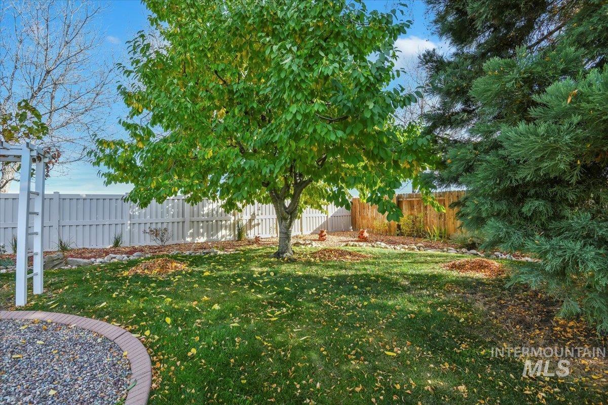 View of fenced backyard