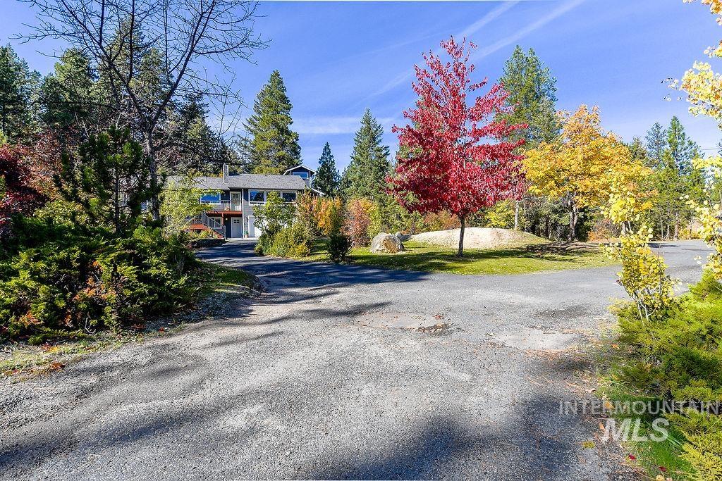 View of asphalt driveway