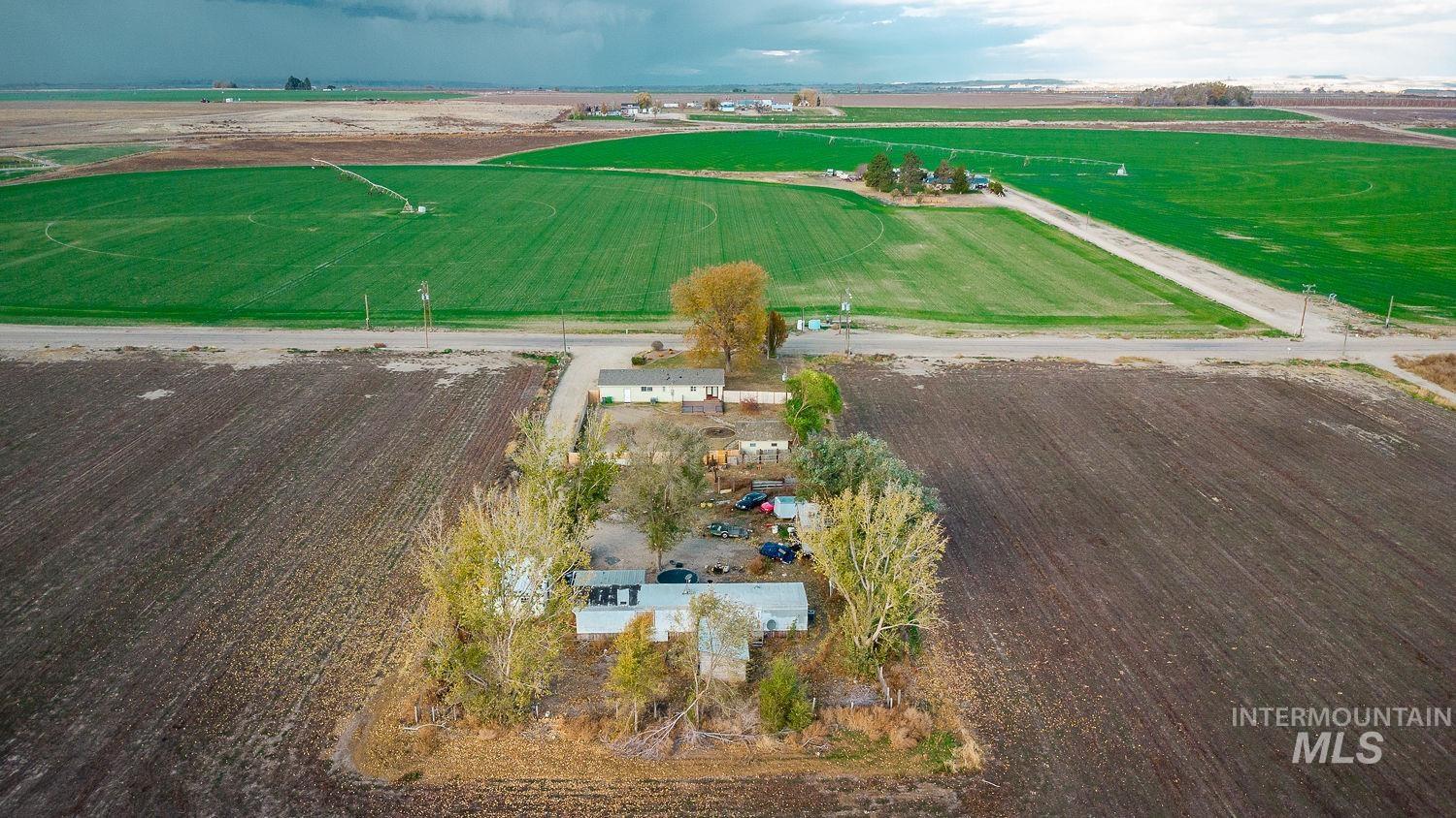 Overview of rural landscape with rows of crops