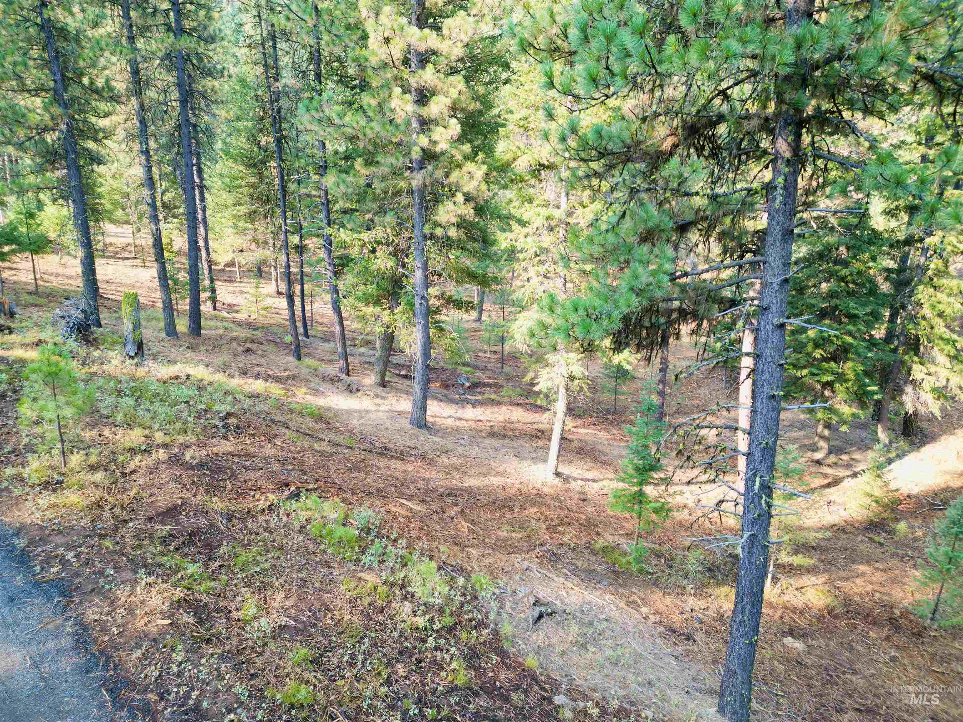 View of undeveloped land