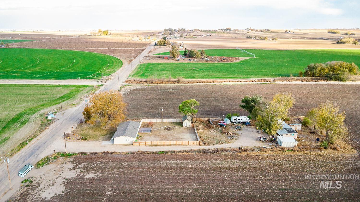 View of rural area with rows of crops