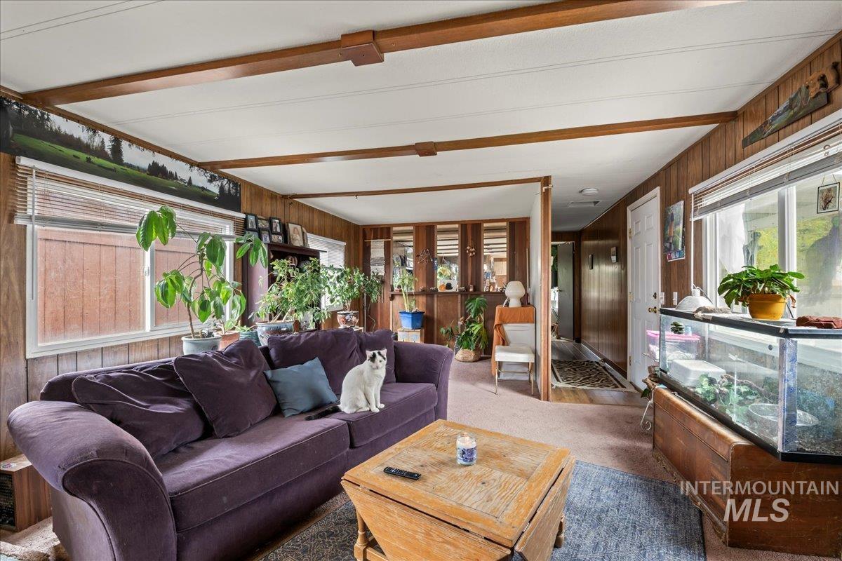 Living area featuring wooden walls and carpet flooring