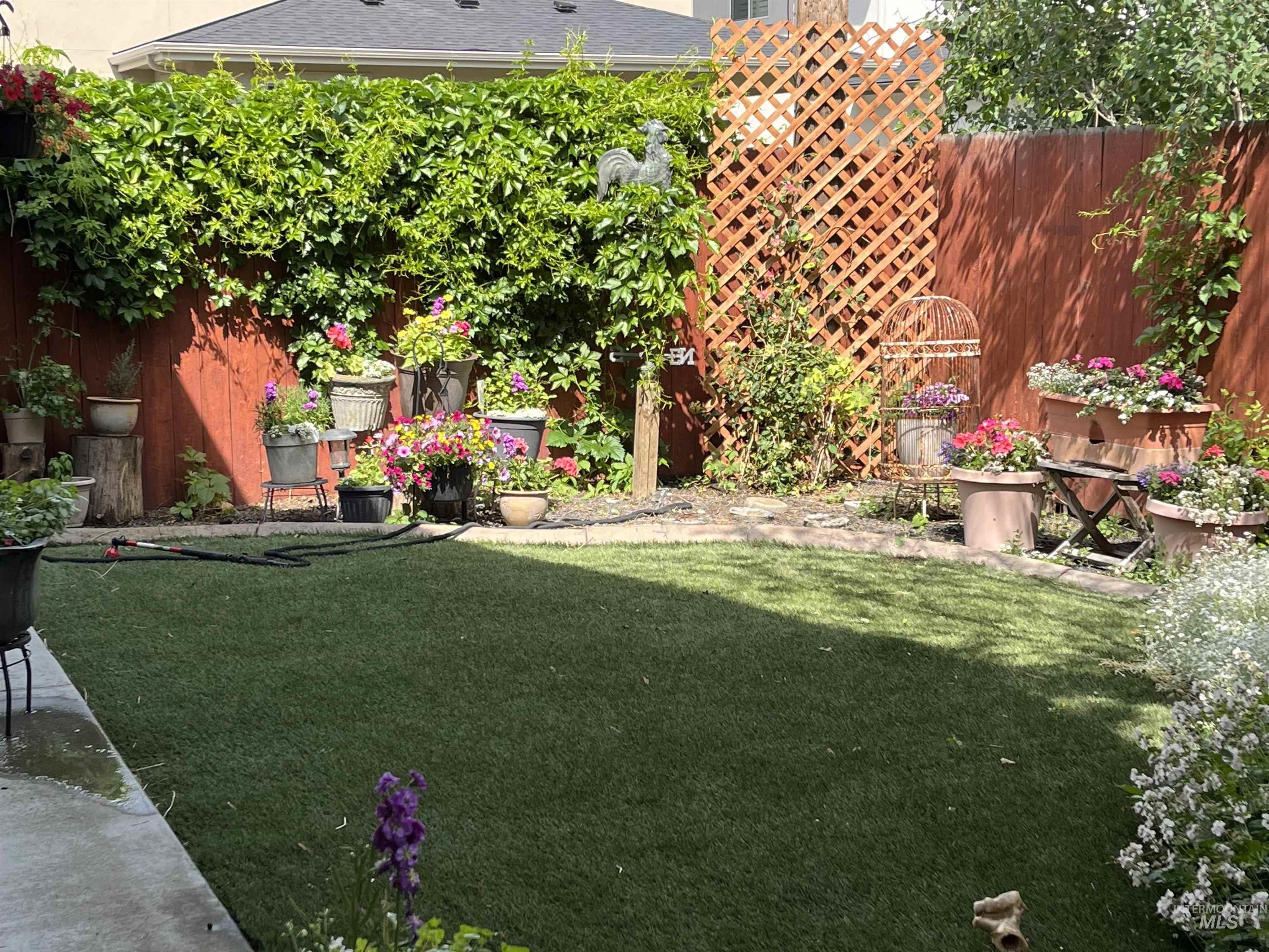 View of yard featuring a patio