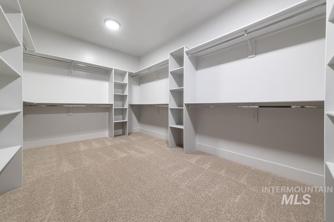 Spacious closet with light carpet