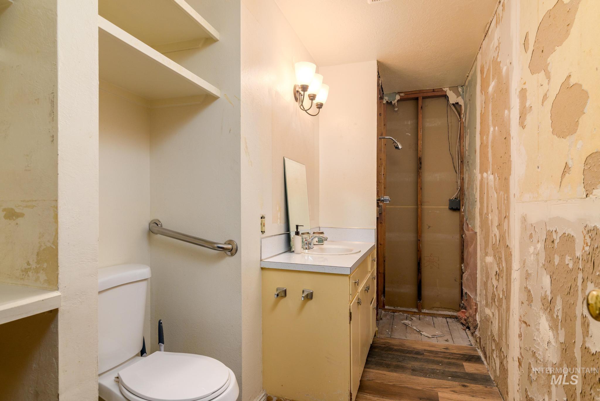 Bathroom featuring vanity, a shower stall, and dark wood-style floors