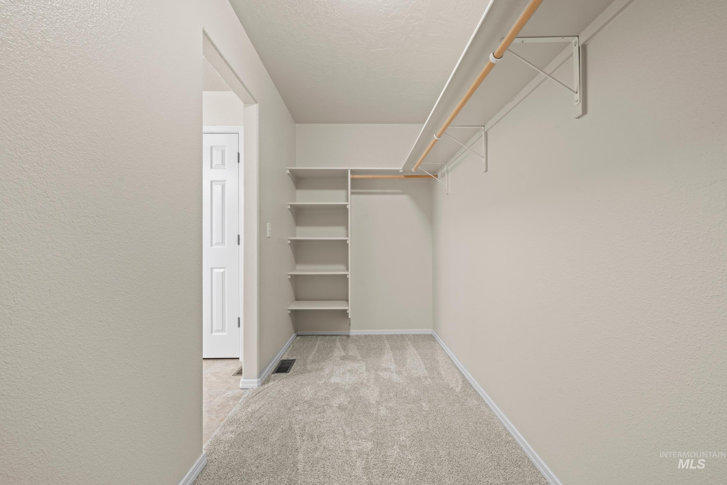 Spacious closet featuring light colored carpet
