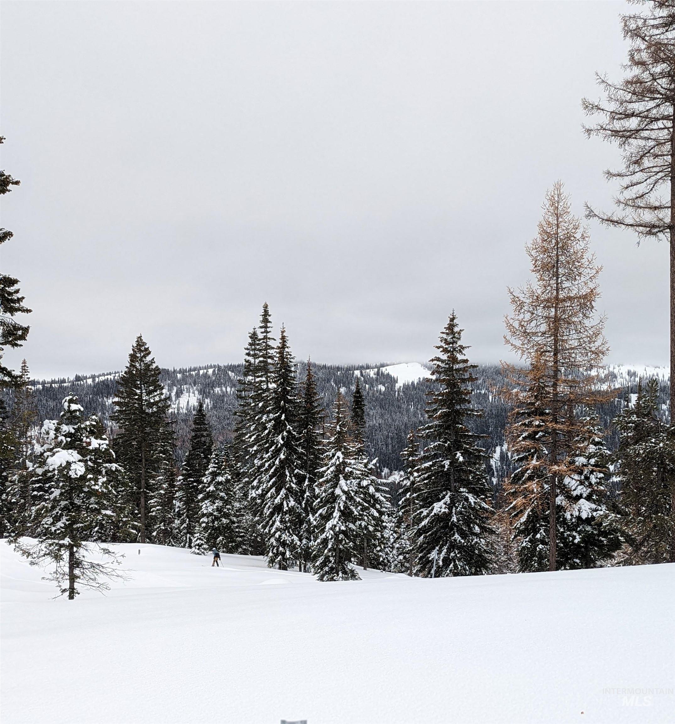 tbd North Loop, McCall, Idaho 83638, Land For Sale, Price $839,000, 98966936