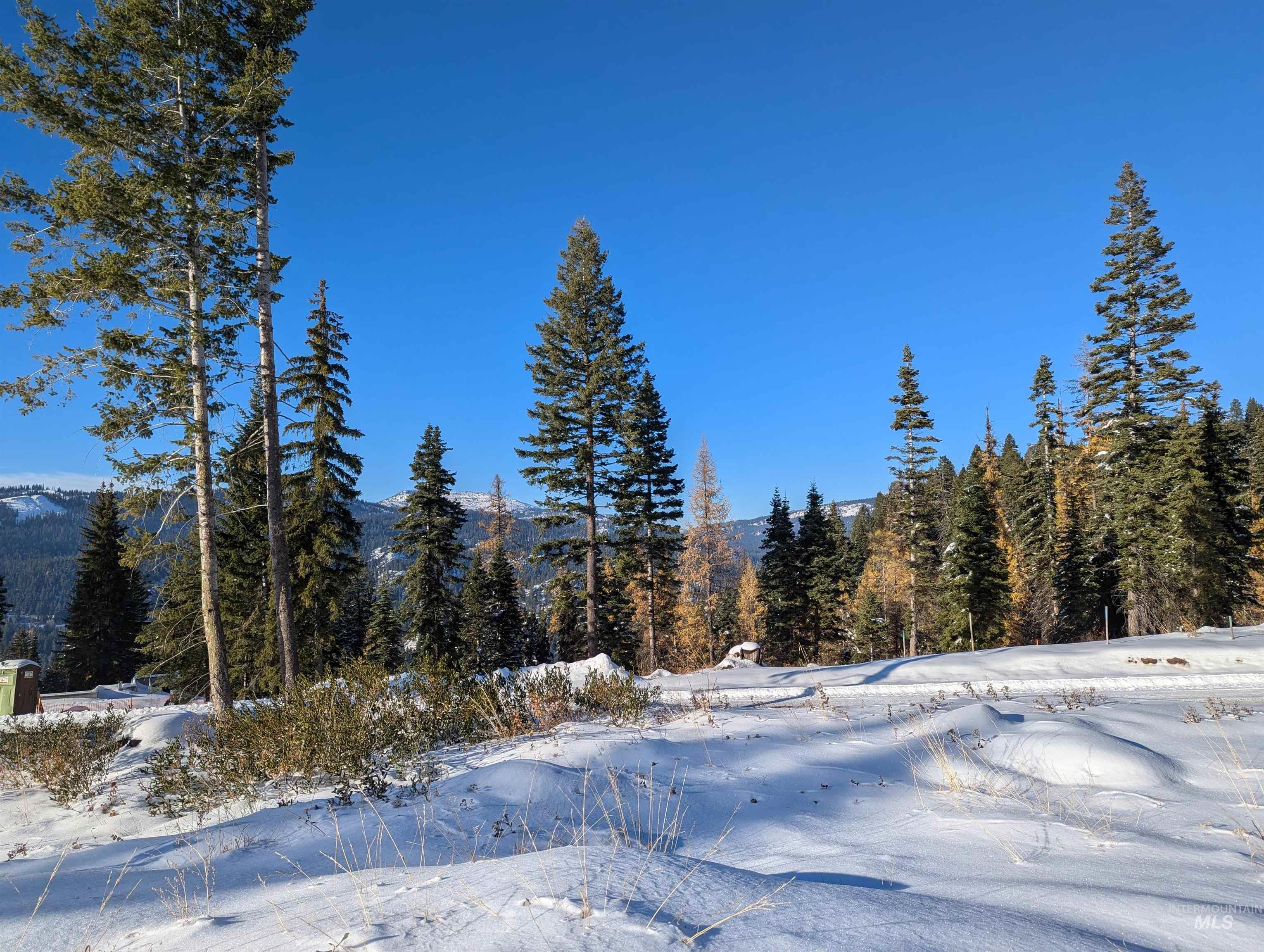 tbd North Loop, McCall, Idaho 83638, Land For Sale, Price $839,000, 98966936
