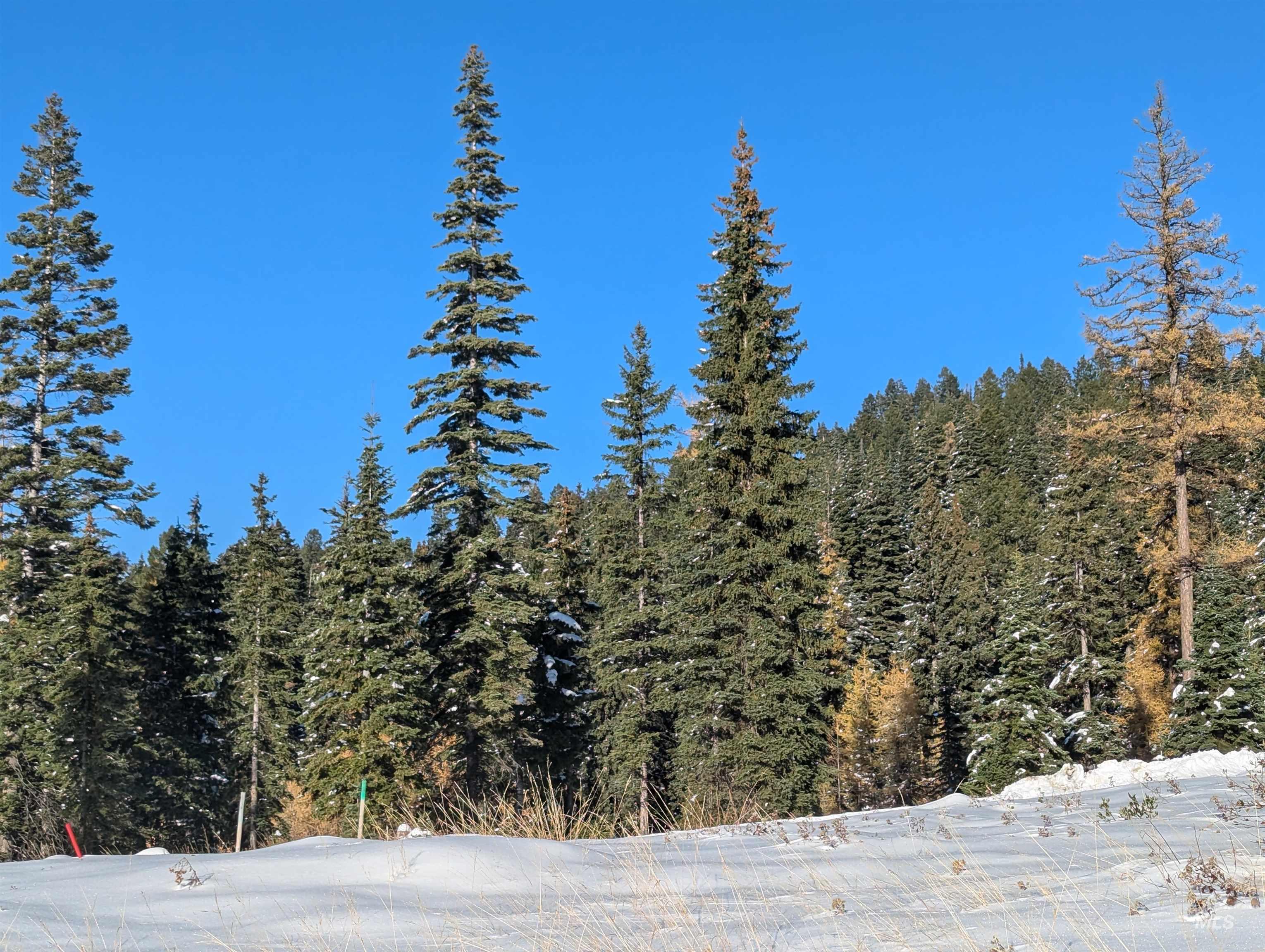 tbd North Loop, McCall, Idaho 83638, Land For Sale, Price $839,000, 98966936