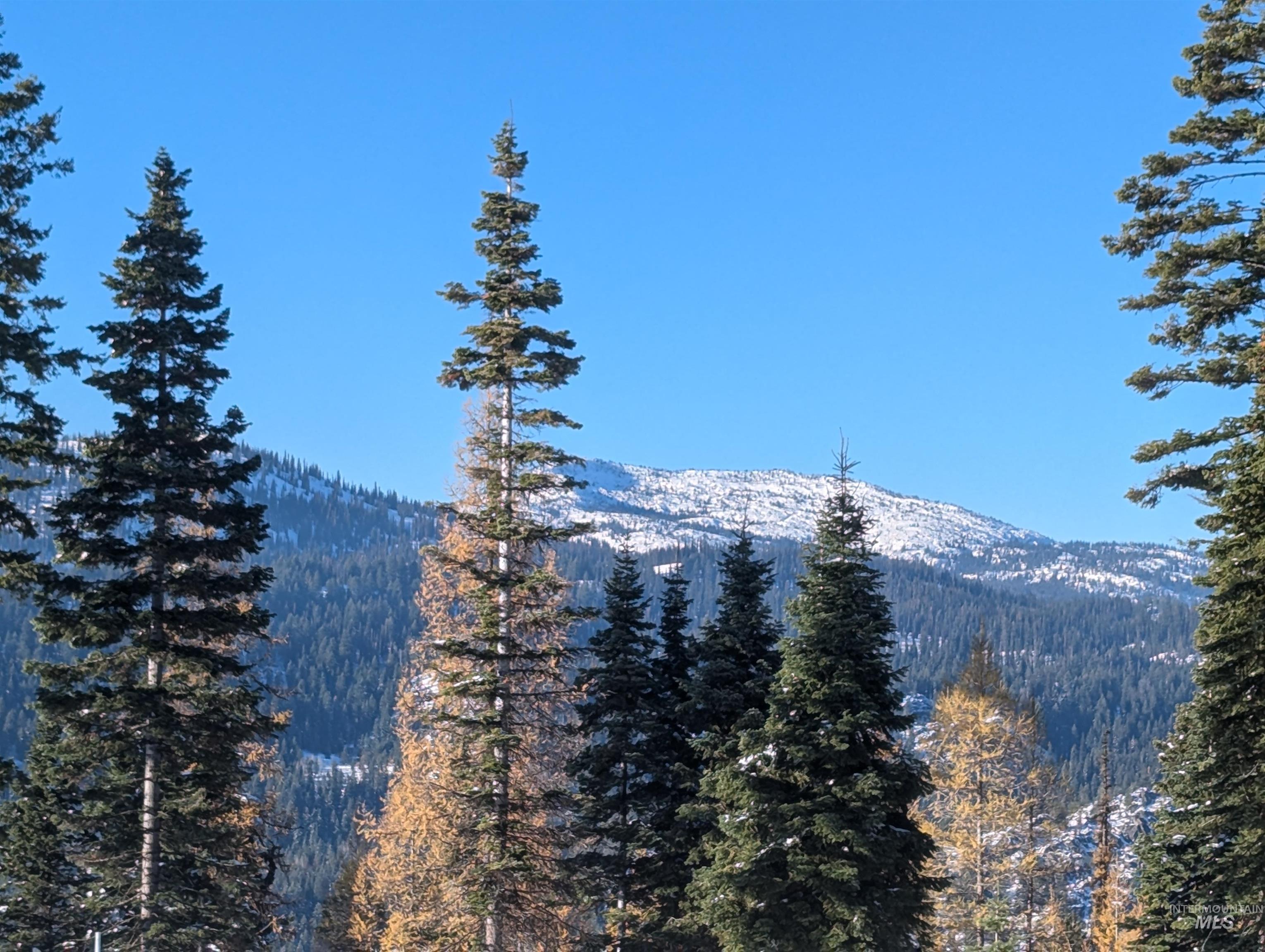 tbd North Loop, McCall, Idaho 83638, Land For Sale, Price $839,000, 98966936